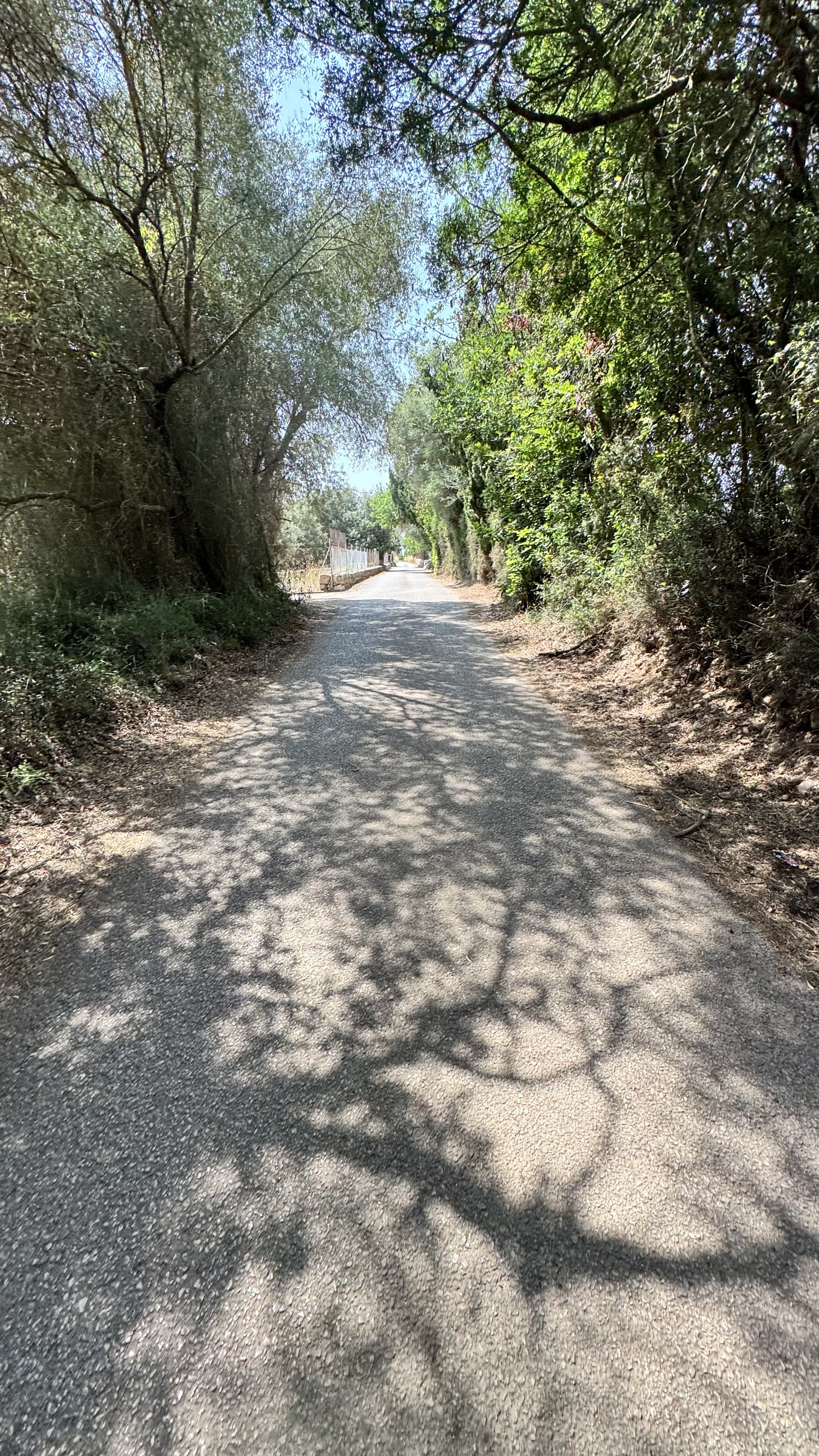 Carrer Vidalba, Alcúdia to Carrer Vidalba, Alcúdia