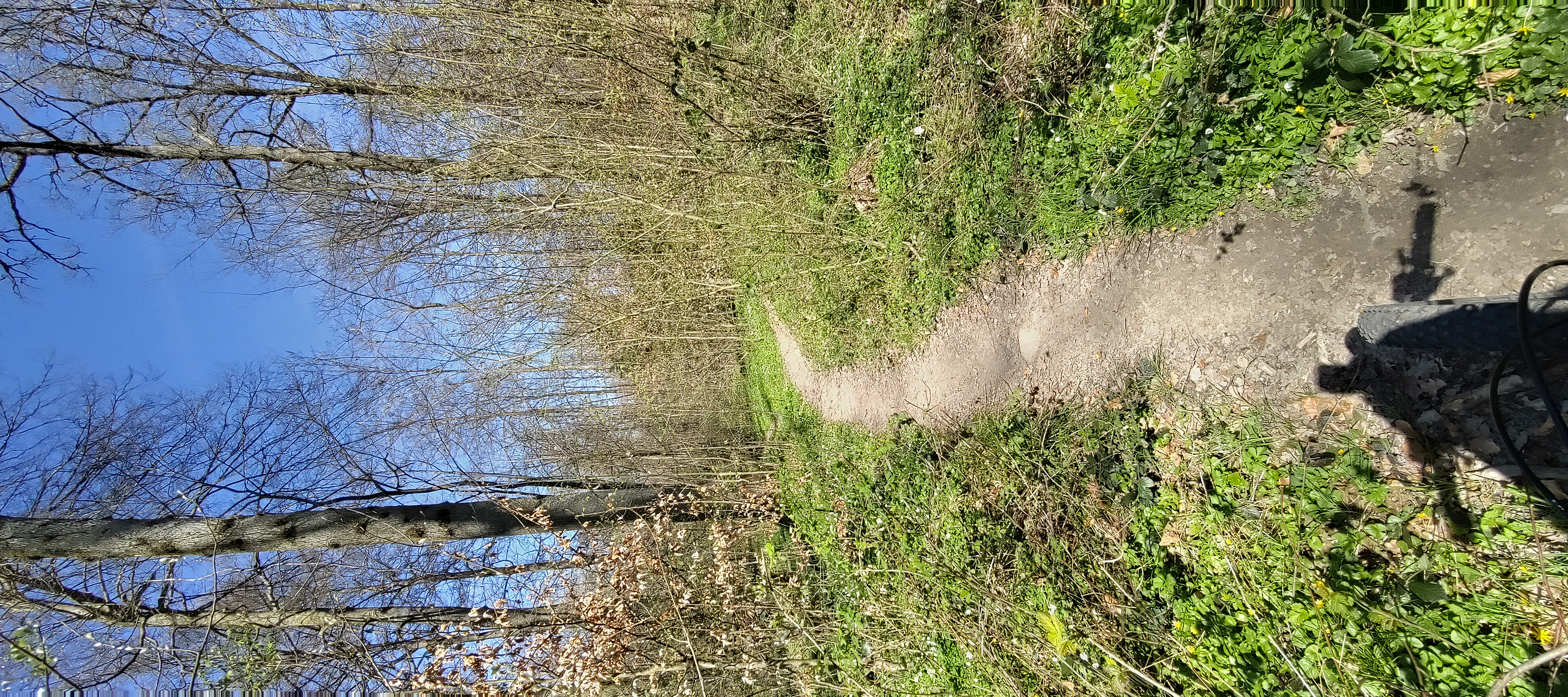 Bremertrail (Aufnahme gestoppt?)