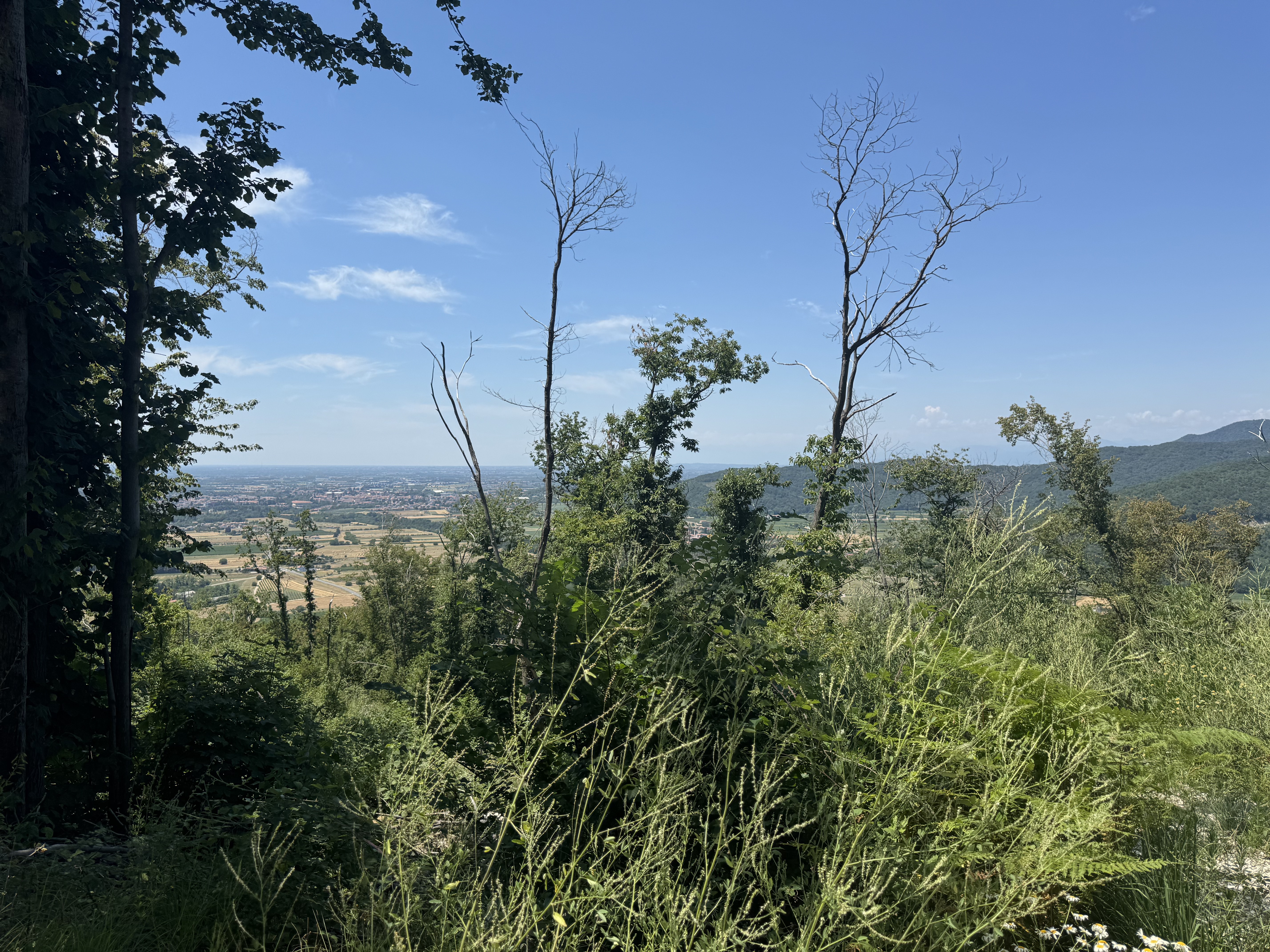 Foto 7 der Bikemap-Route "Via Principale, Torreano to Via Castelmonte, Prepotto"