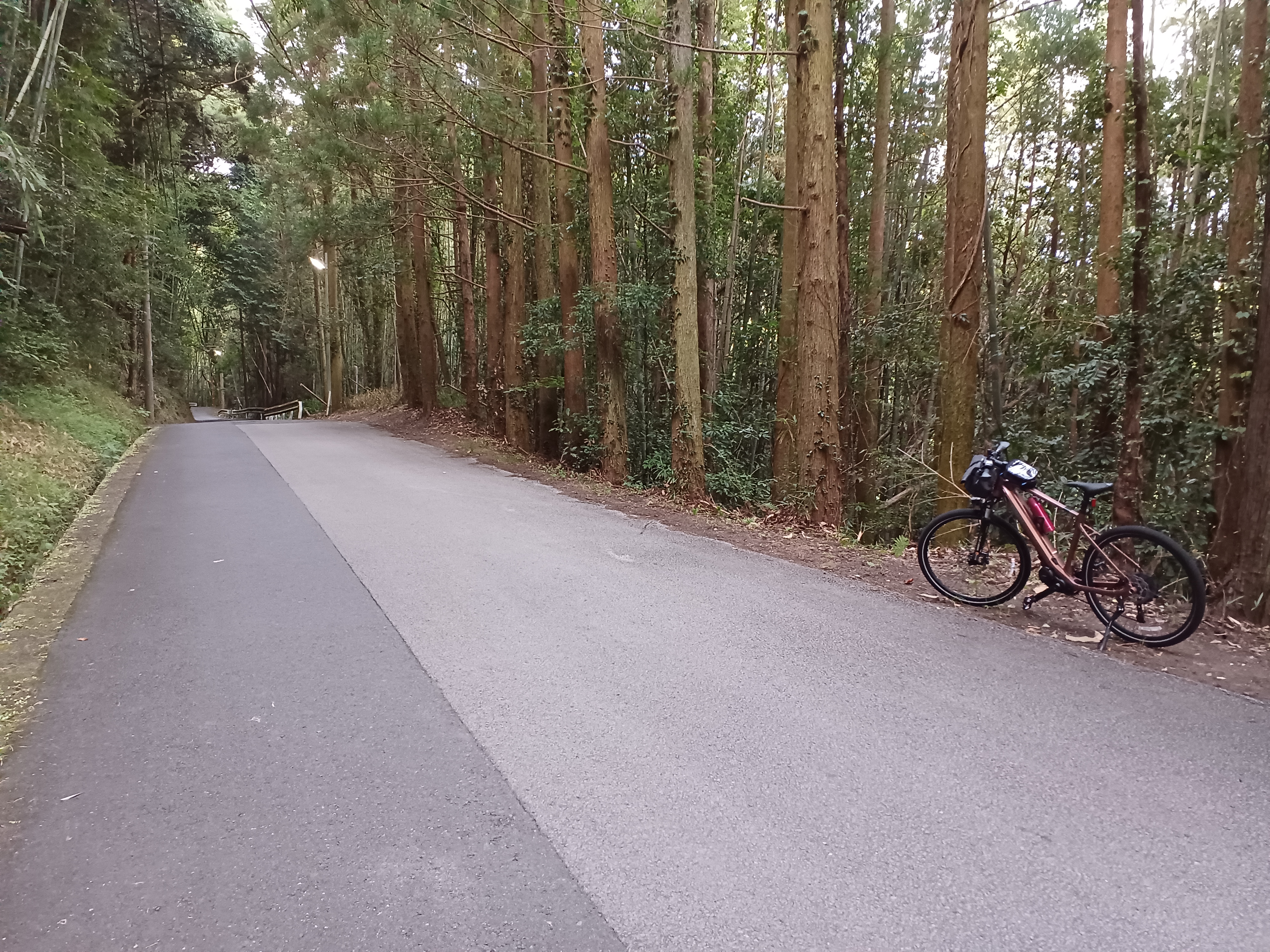 霊山サイクリング