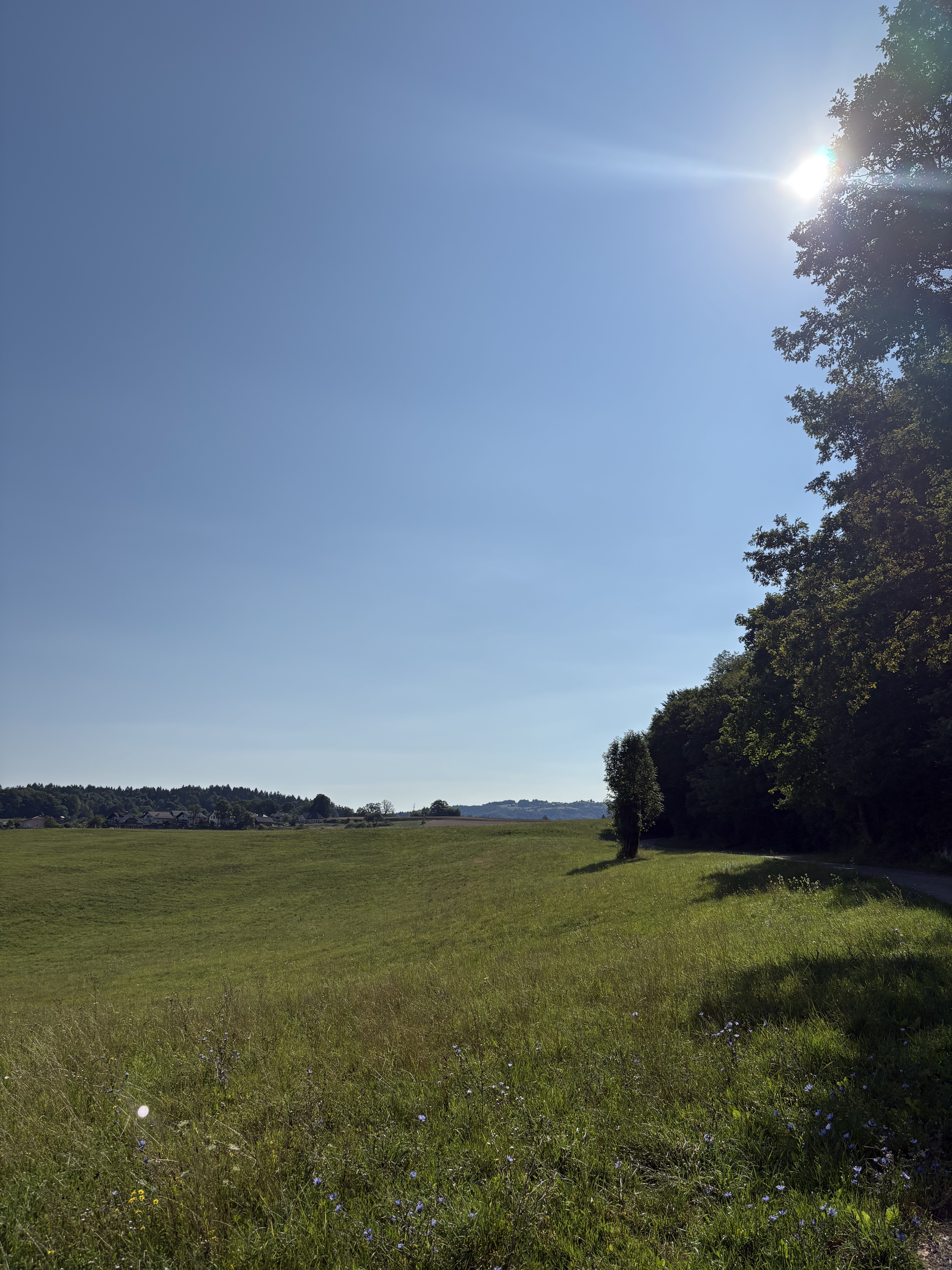 Zaloška cesta, Ljubljana to Tušev Dol, Črnomelj