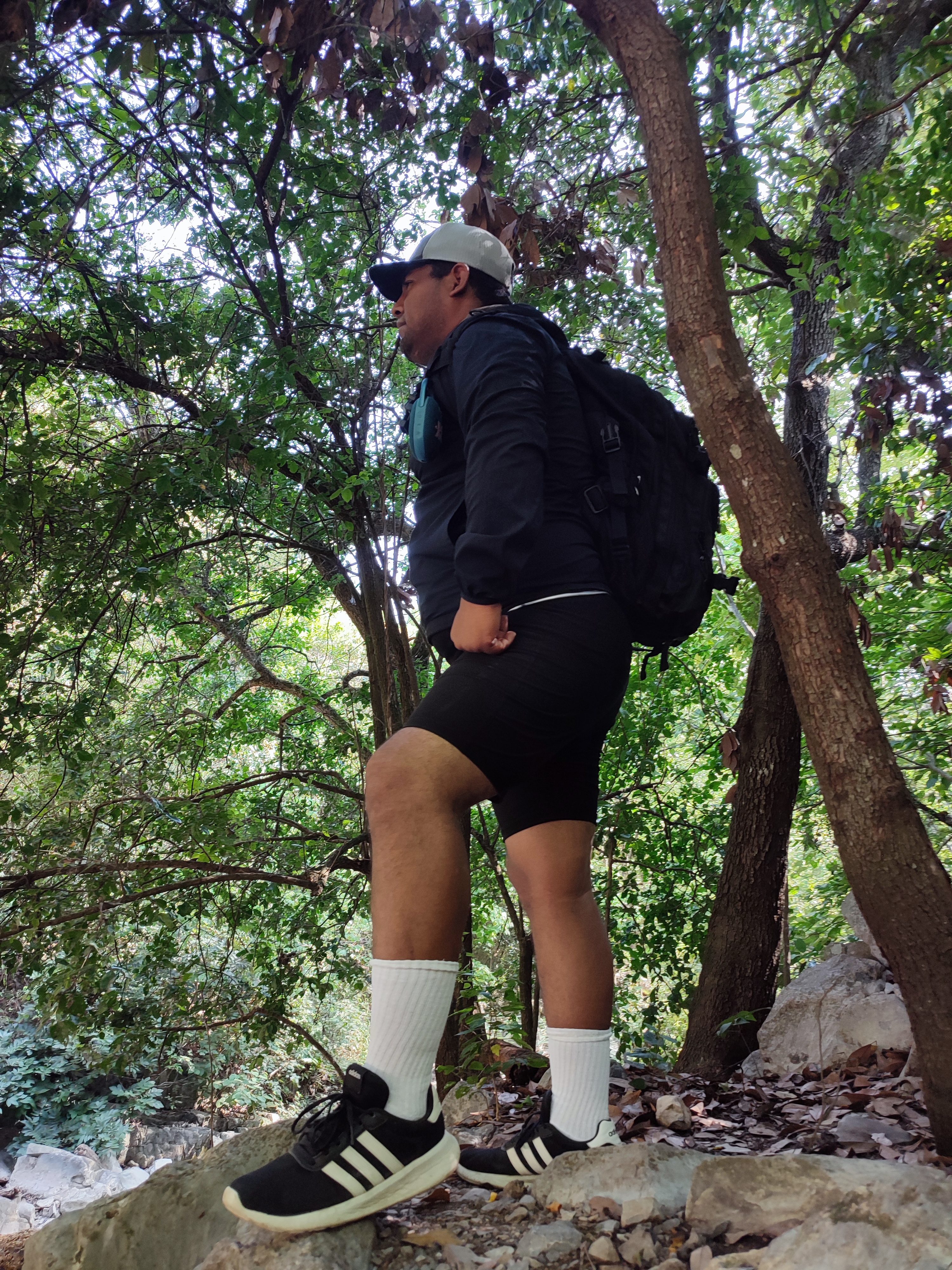 De Avenida Vista del Oso a Vista Del Avenue