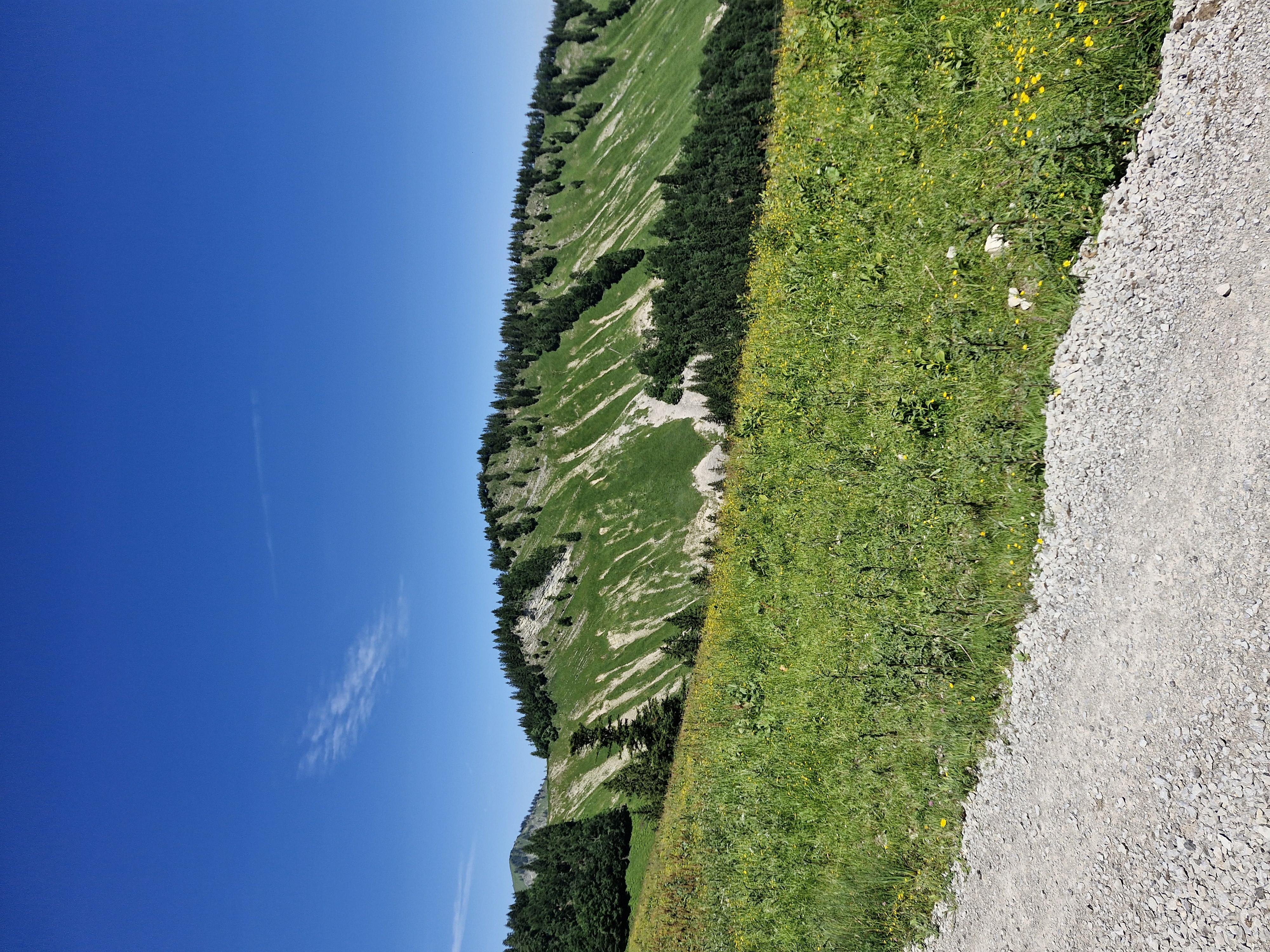 Tiefbrunnau Keflaubrücke nach Strobl