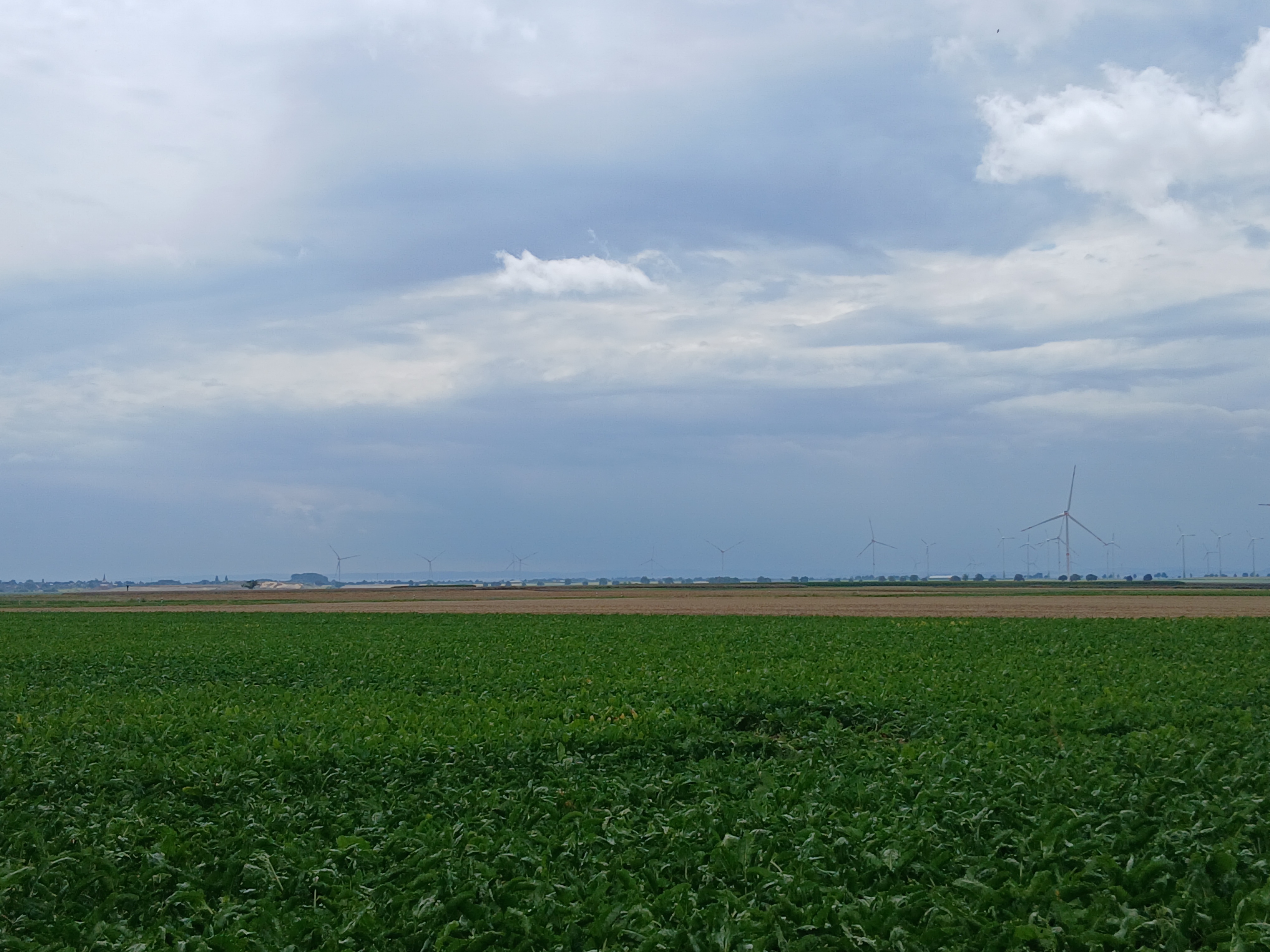 Photo 8 de l’itinéraire Bikemap « Moderate Route »