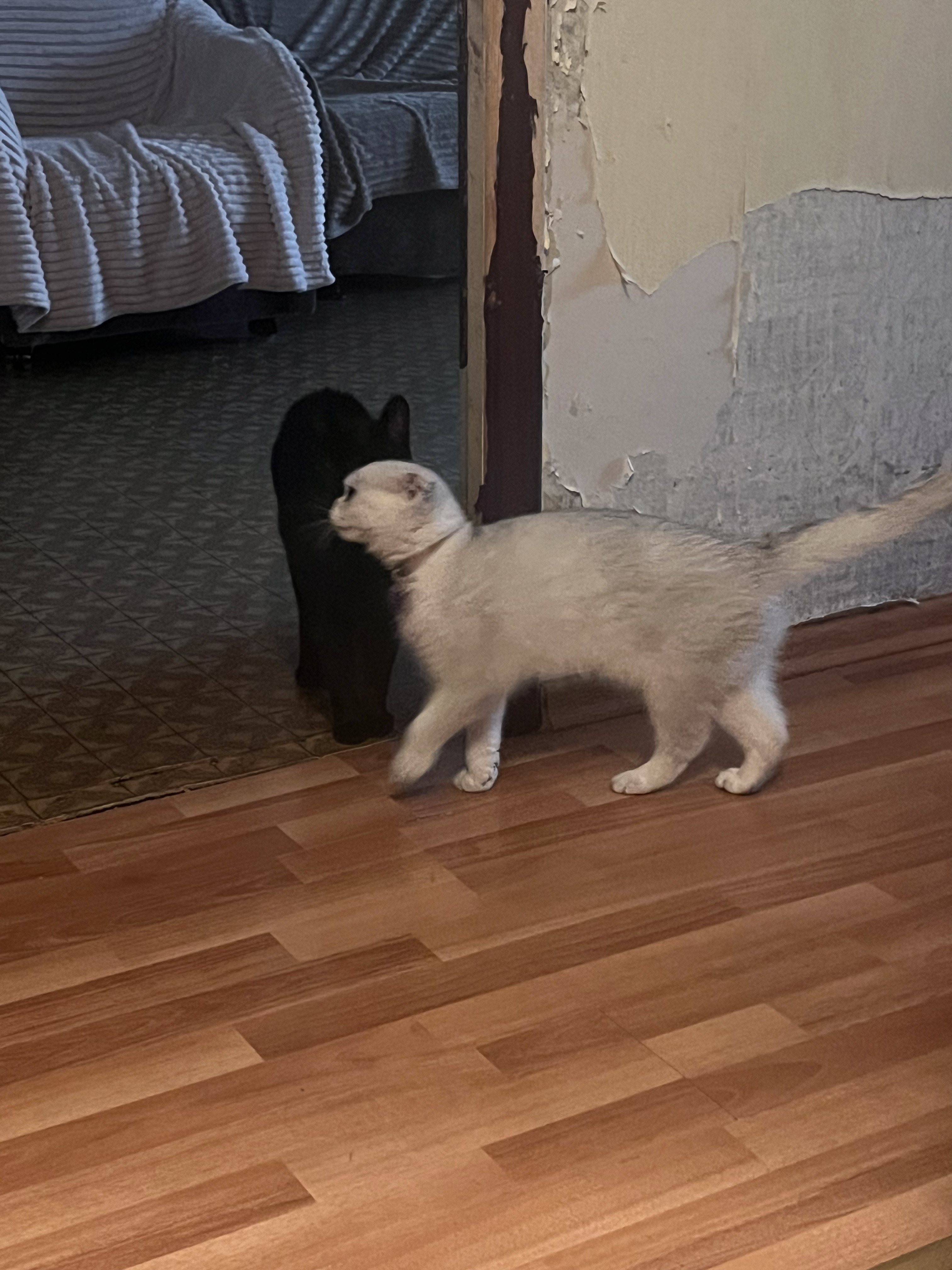 Минск до улица Михаила Миля, Минск