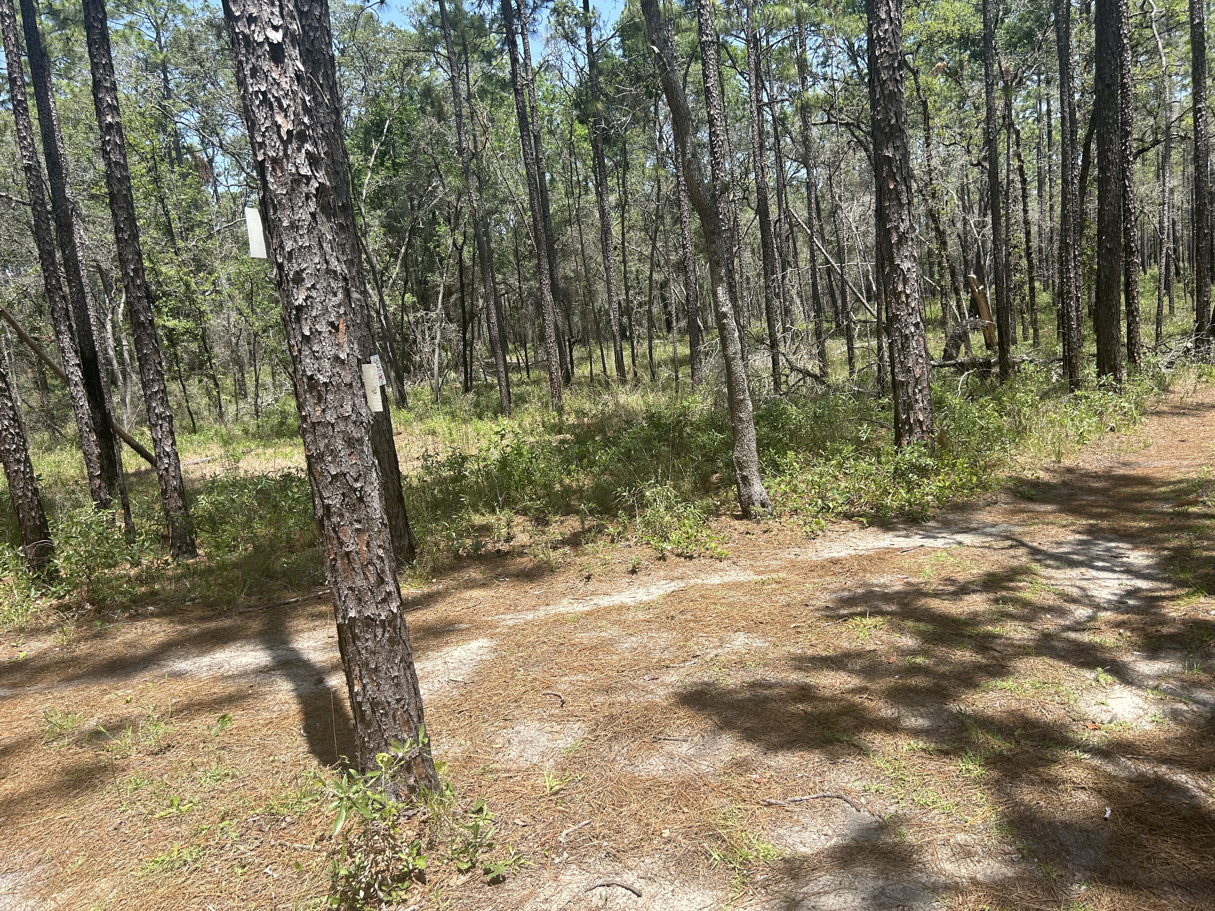 Croom Rital Rd, Brooksville to Croom Rital Rd, Brooksville