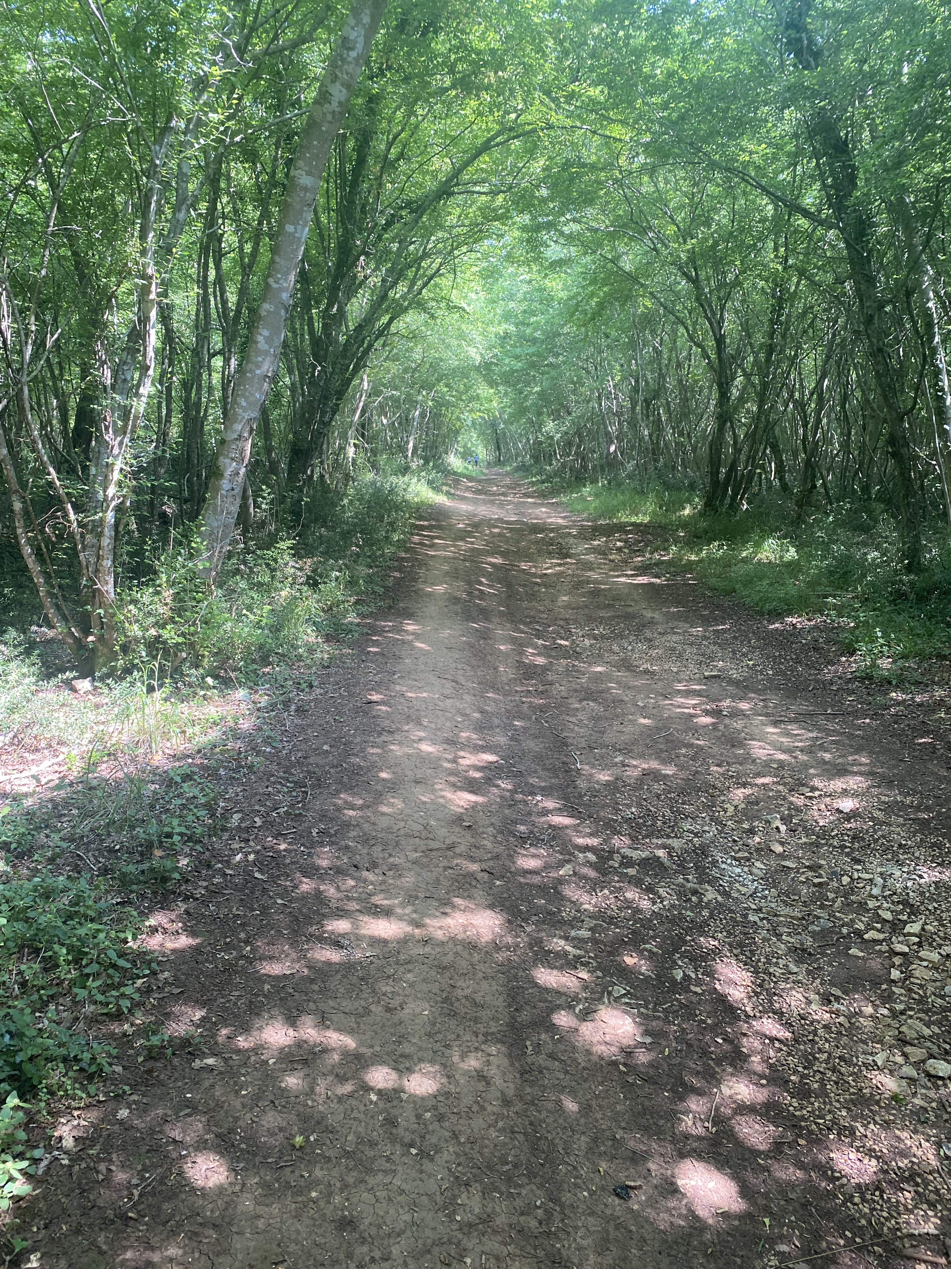 Zdjęcie 2 trasy Bikemap „Kloštar nach Kloštar” Zdjęcie 2 trasy Bikemap „Kloštar nach Kloštar”