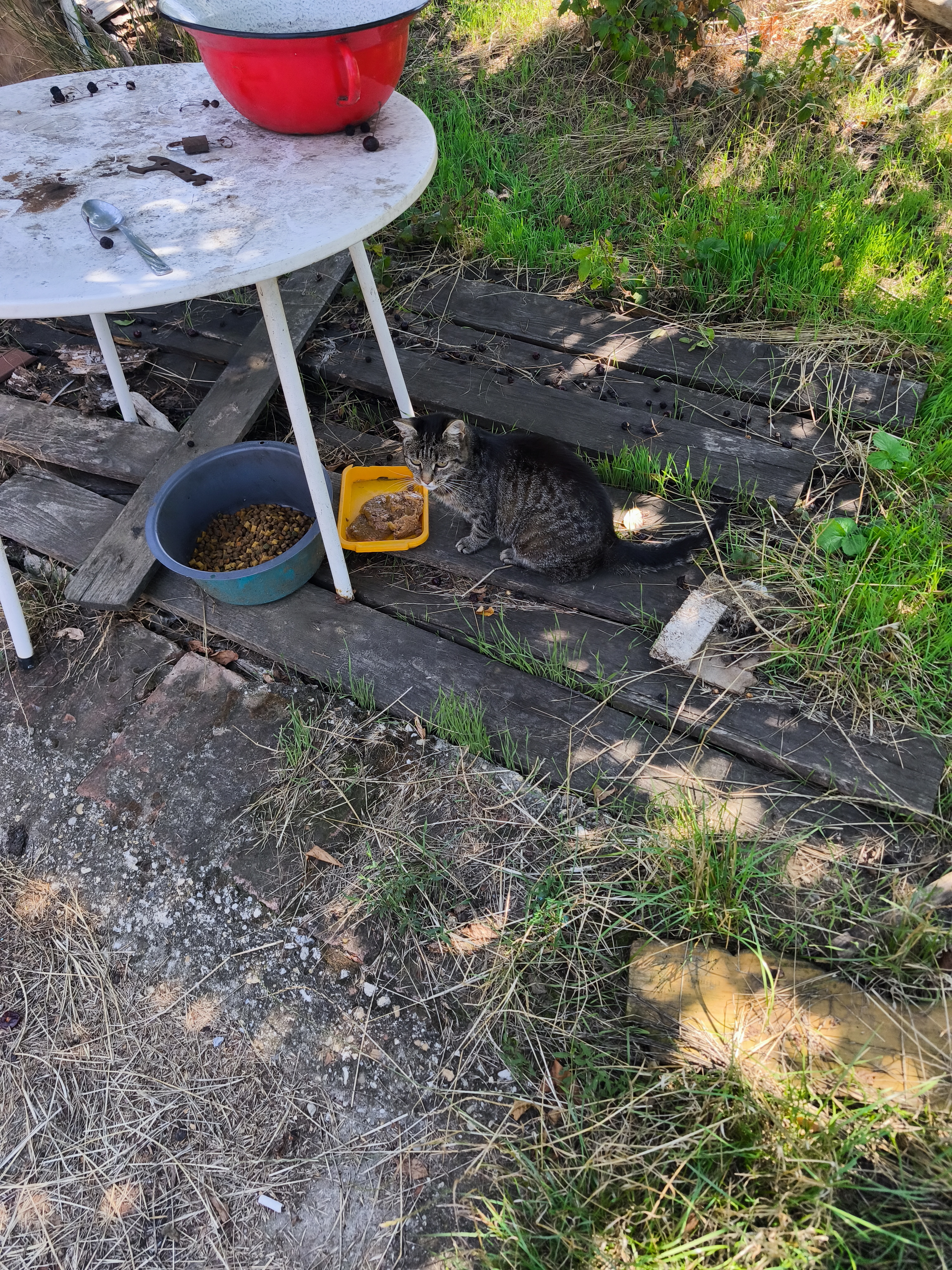 Csallóköz utca - Csallóköz utca 16a