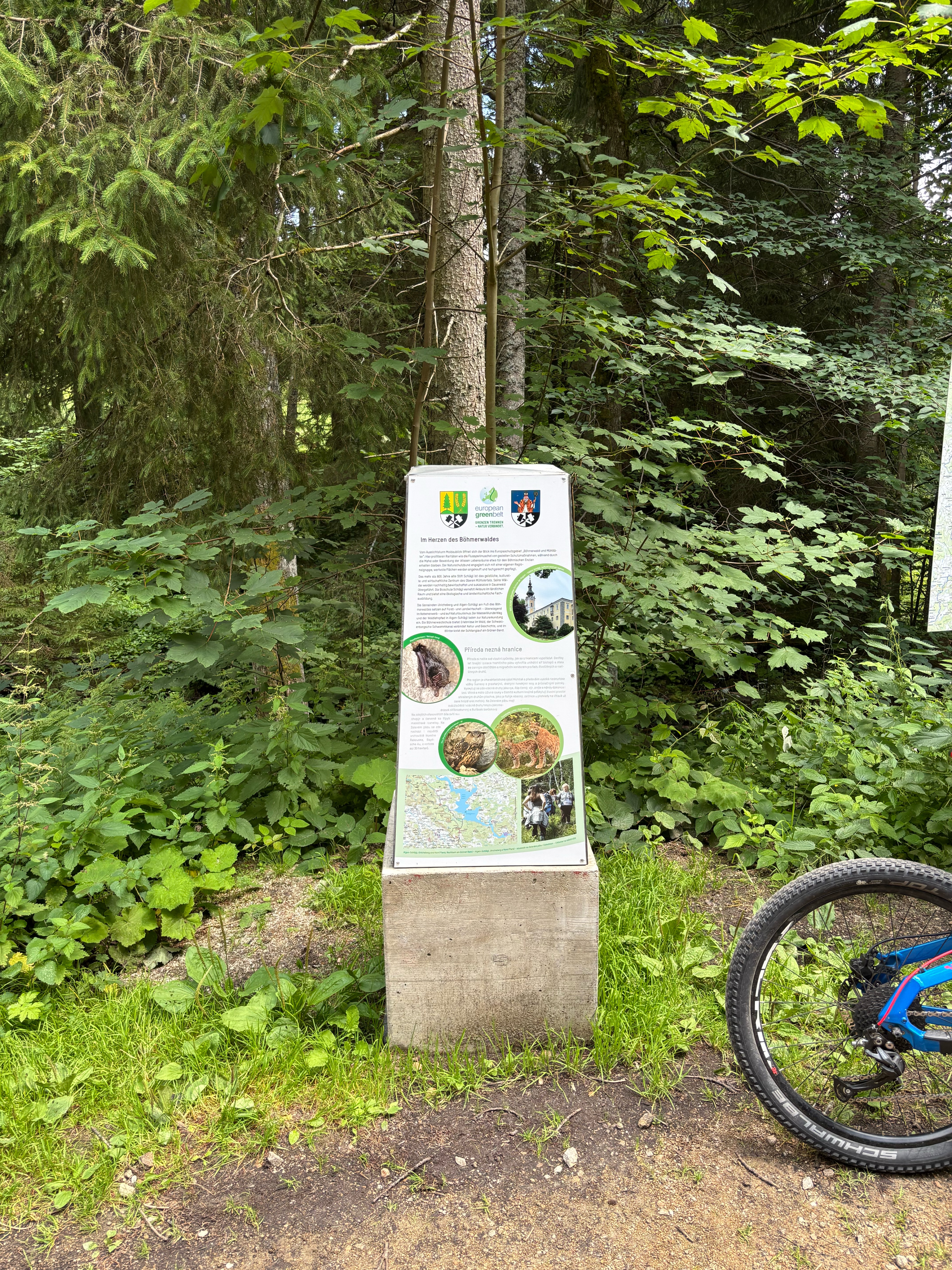 Zaznamenáno přes Apple Watch na 23. 7. 17:24