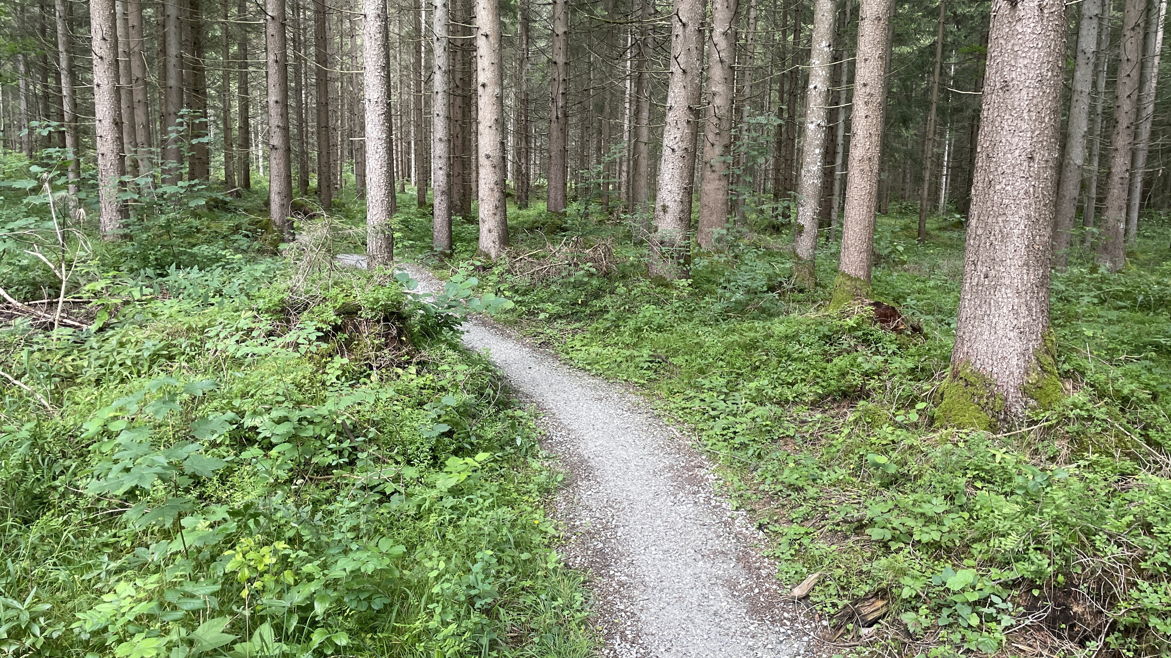 Gumpenberg, Haus im Ennstal - Gumpenberg, Haus im Ennstal