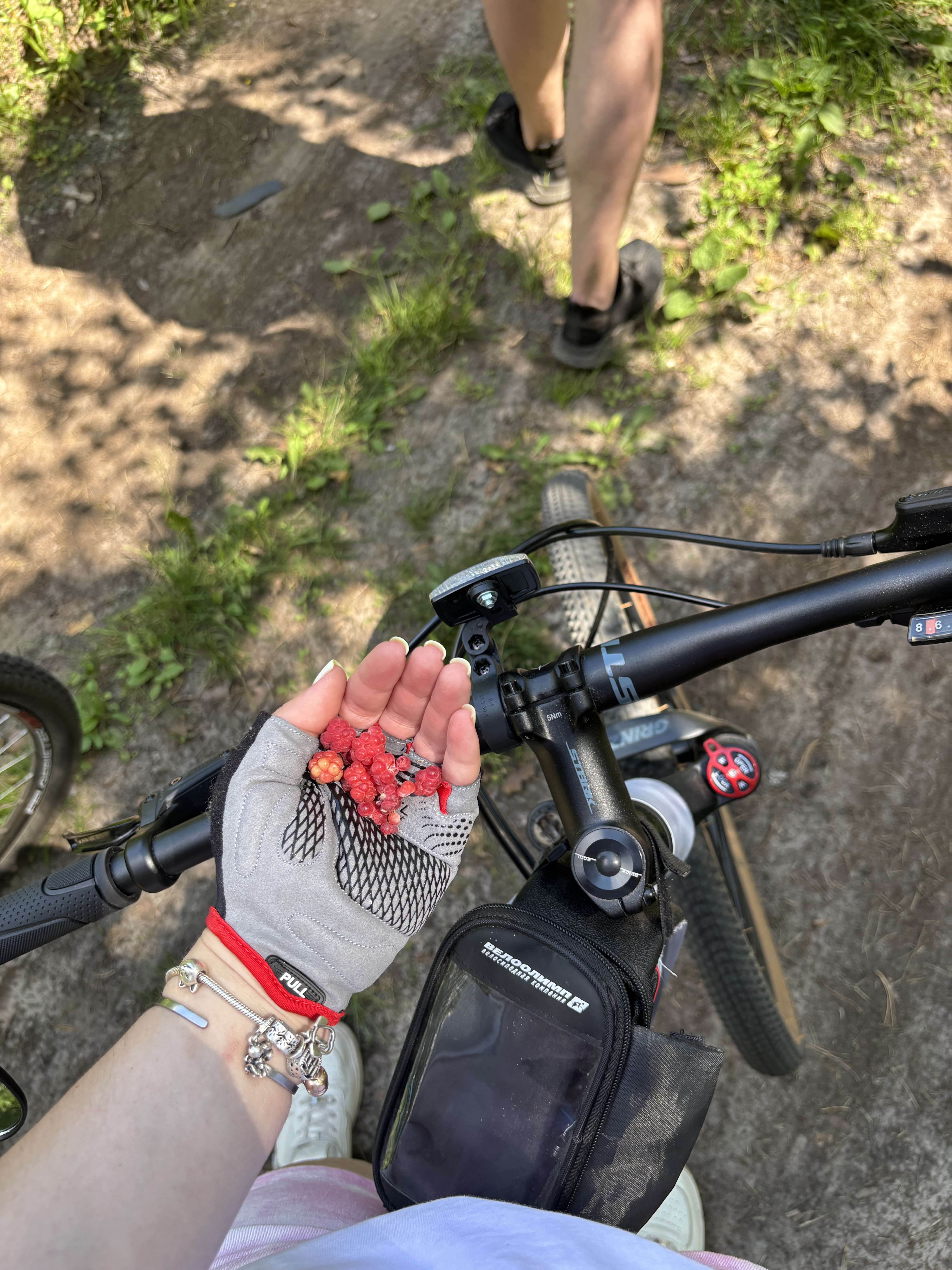 Foto 8 der Bikemap-Route "улица Ильича, Гомель до Хальченский"