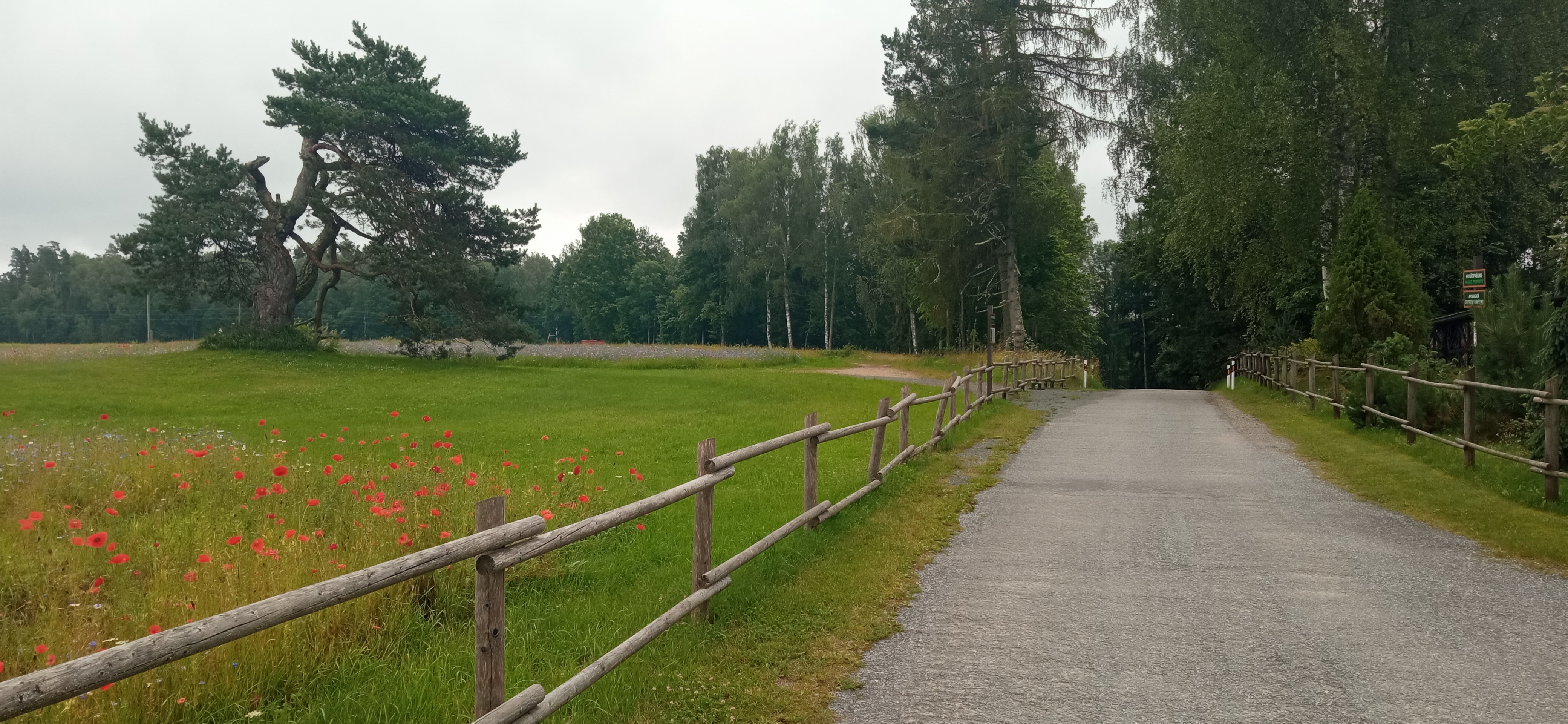 От Kārļa Baumaņa iela до Rāmnieki