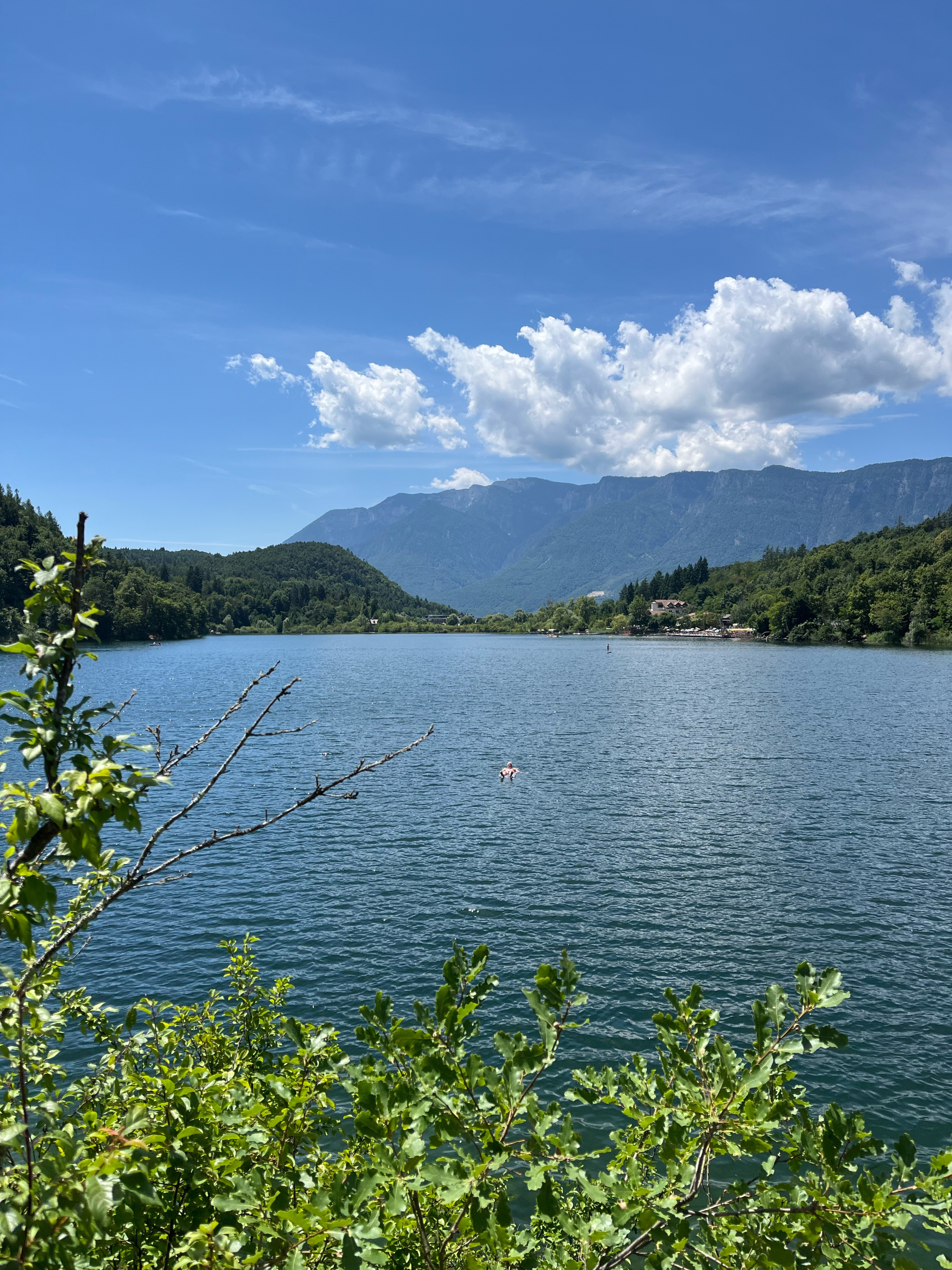 Oswaldpromenade, Bolzano to Oswaldpromenade, Bolzano