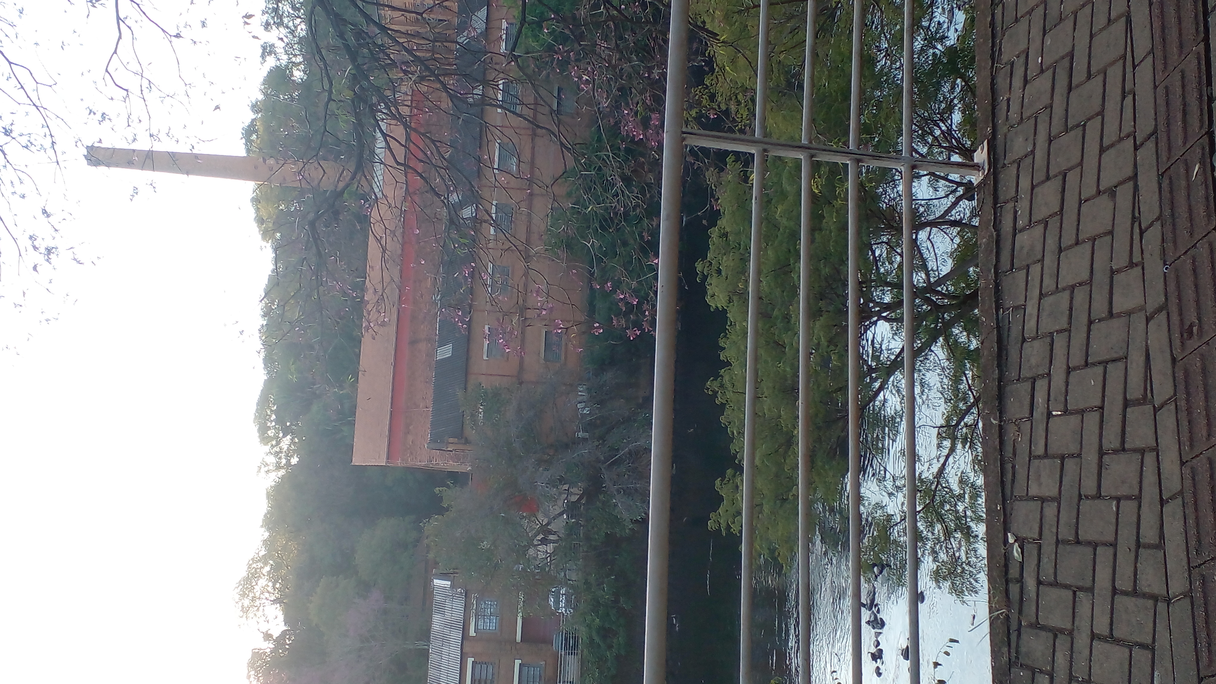 De Rua Oliverio Porta a Rua Oliverio Porta