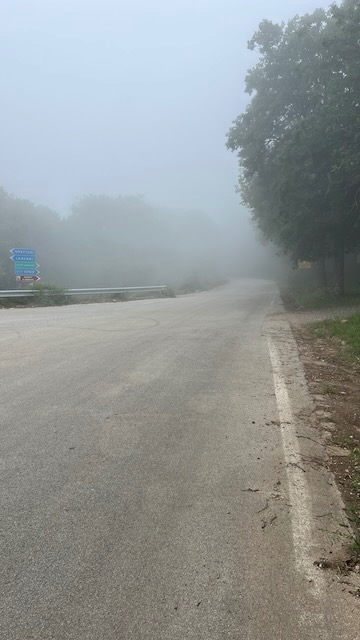 Foto 8 der Bikemap-Route "Parco delle Madonie"