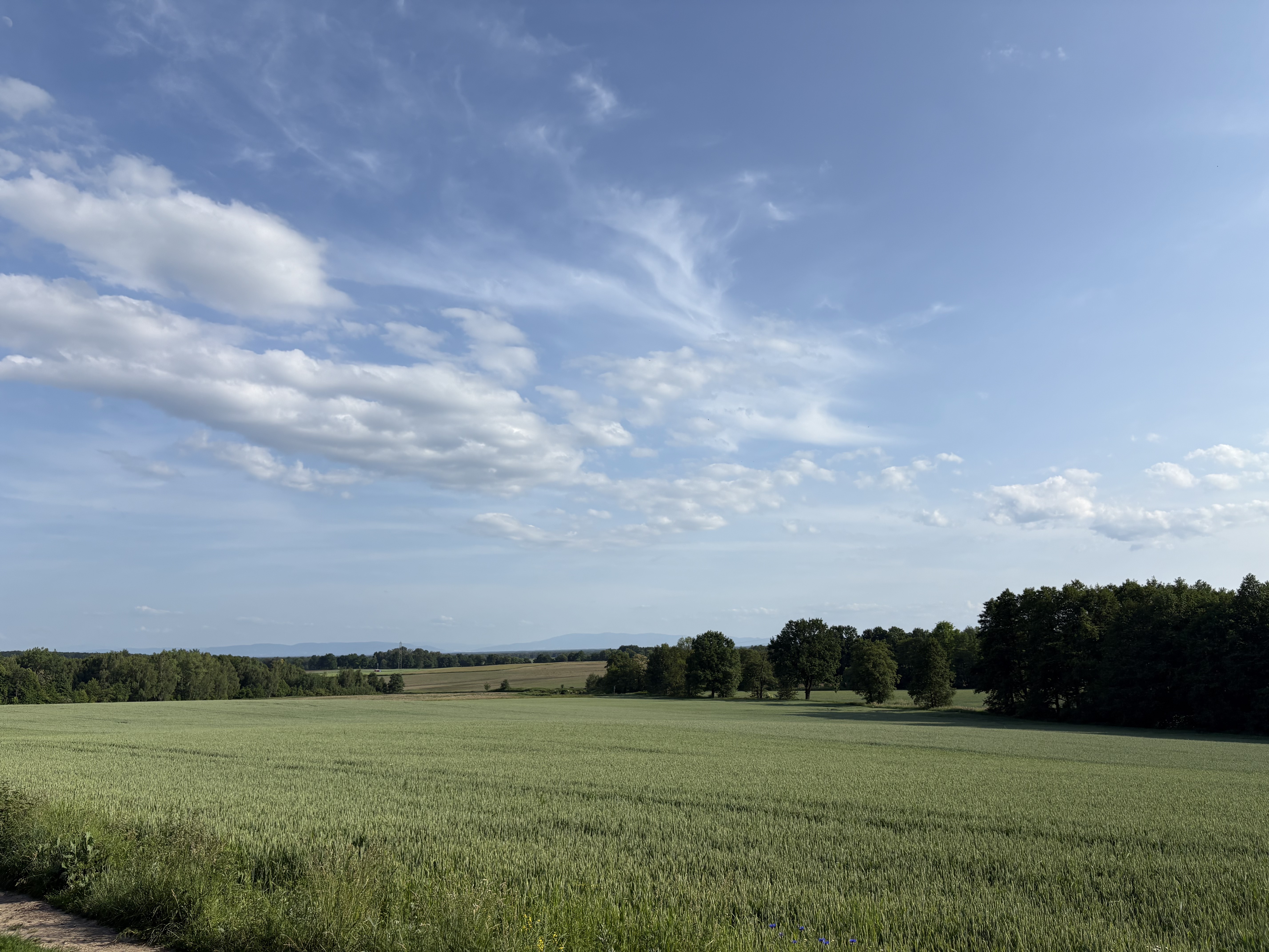 Strzechy, Mikołów do Gen Władysława Sikorskiego, Tychy