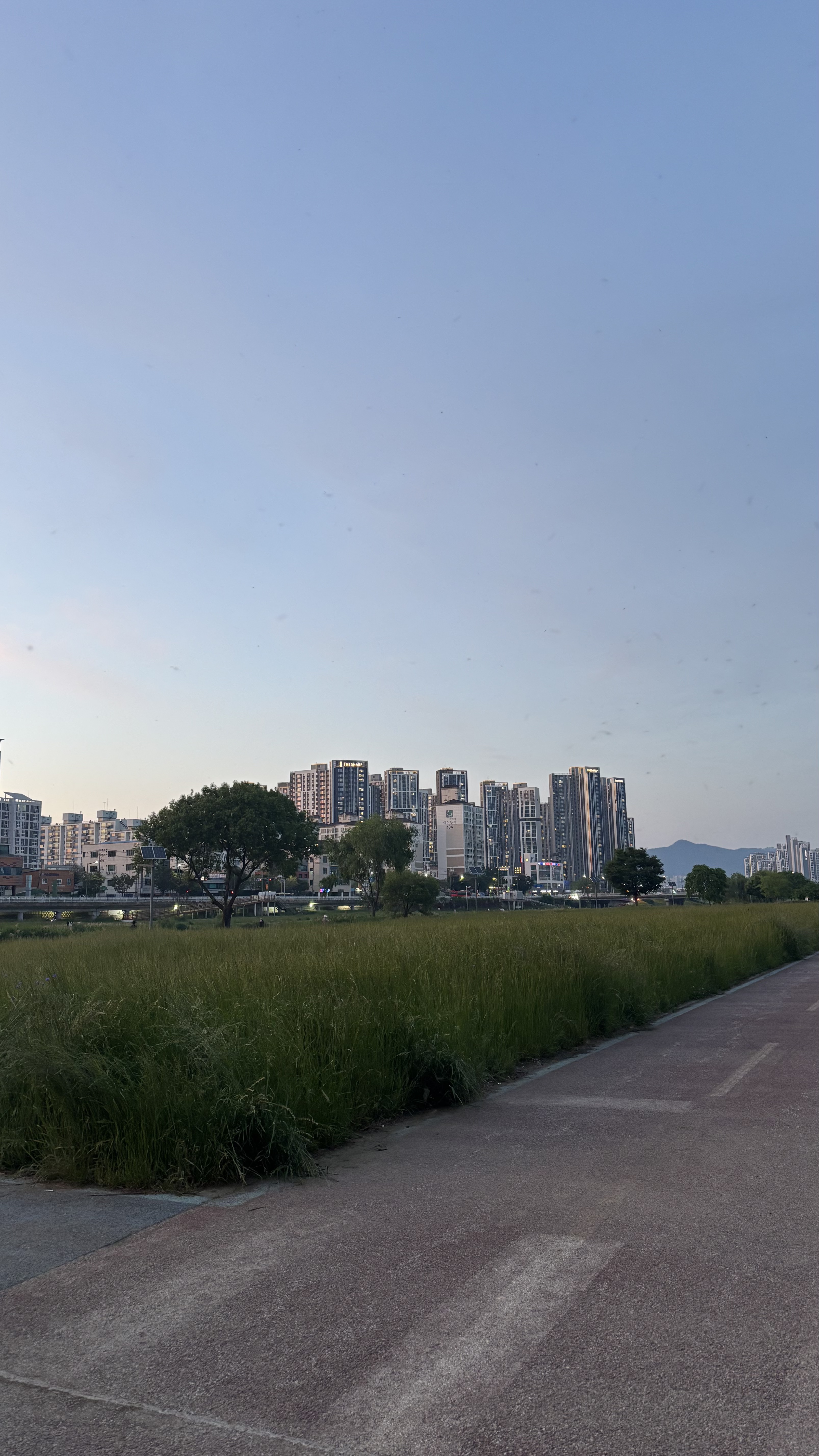 Photo 7 of the Bikemap route "용두동, 대전광역시에서 선화동, 대전광역시까지"