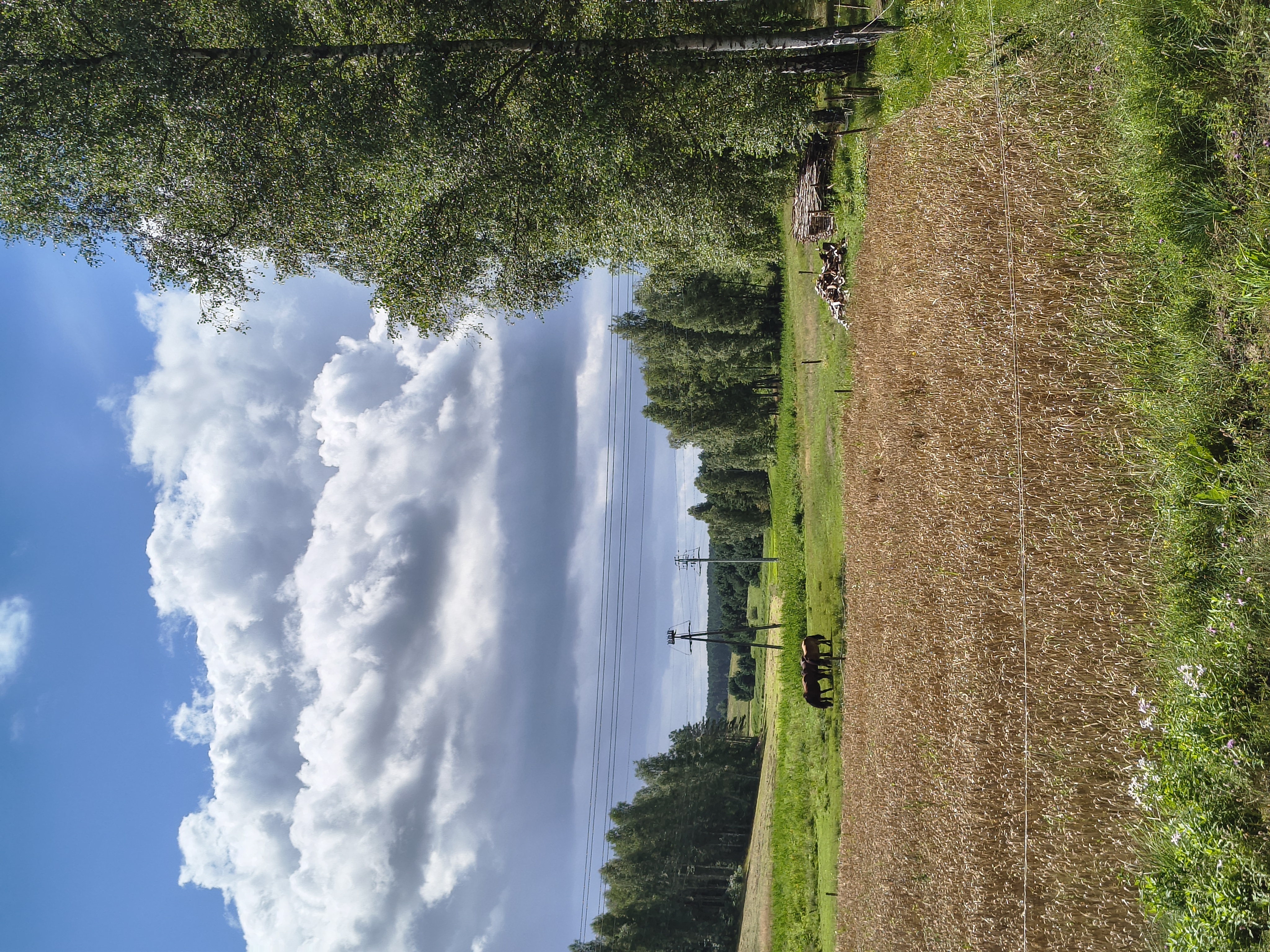 Foto 7 der Bikemap-Route "Akwedukt Fojutowo" Foto 7 der Bikemap-Route "Akwedukt Fojutowo"