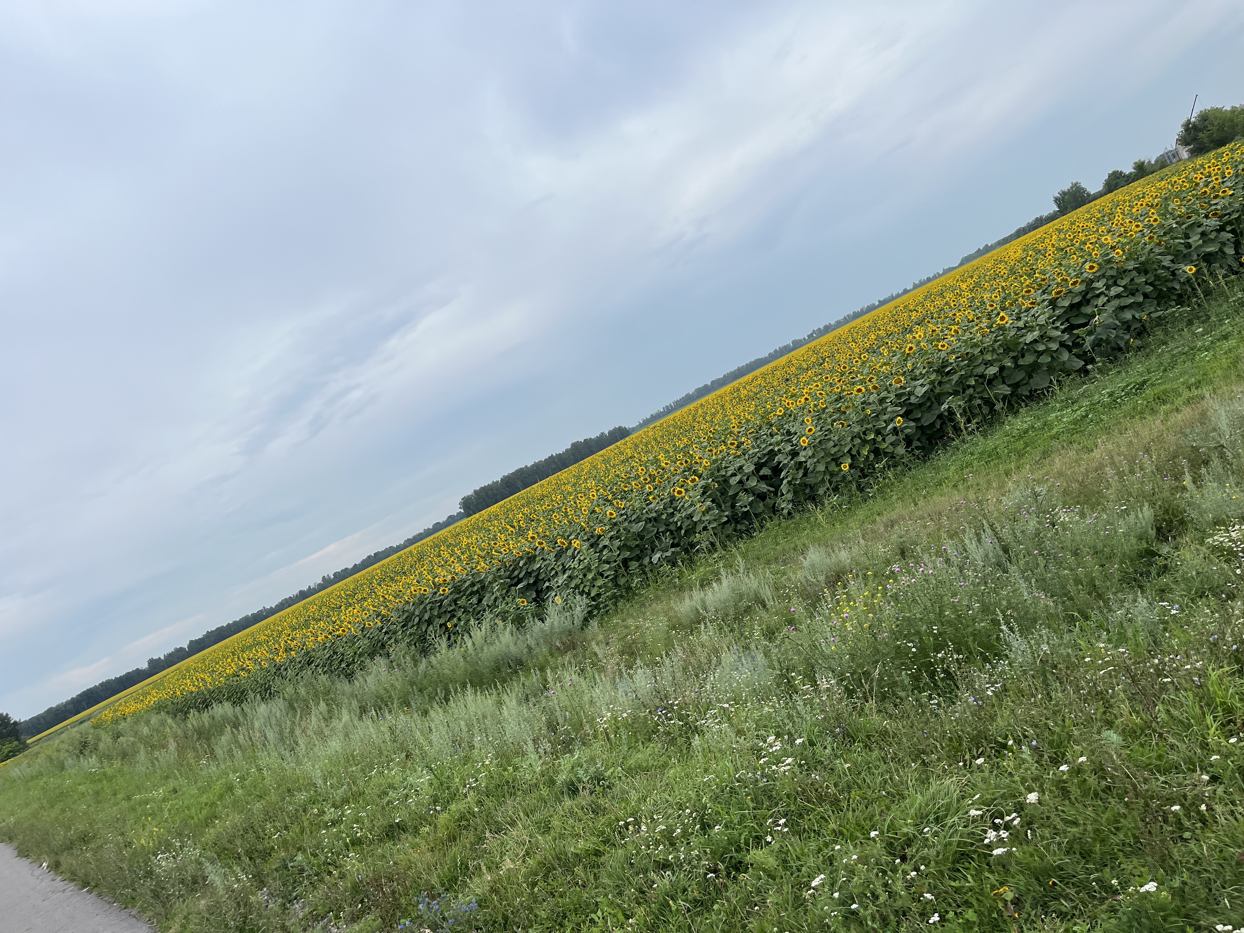 Кремлёвская улица, Рассказово до Парниковая улица, Рассказово