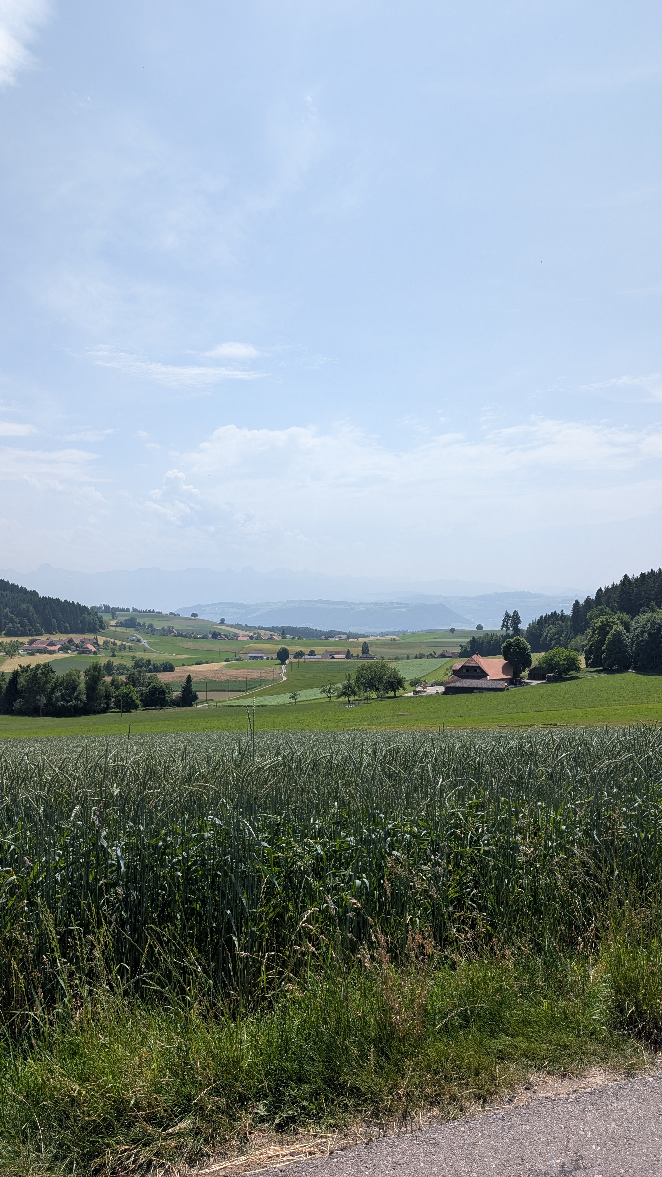 Ludwig-Schläfli-Weg nach Burgdorf Steinhof