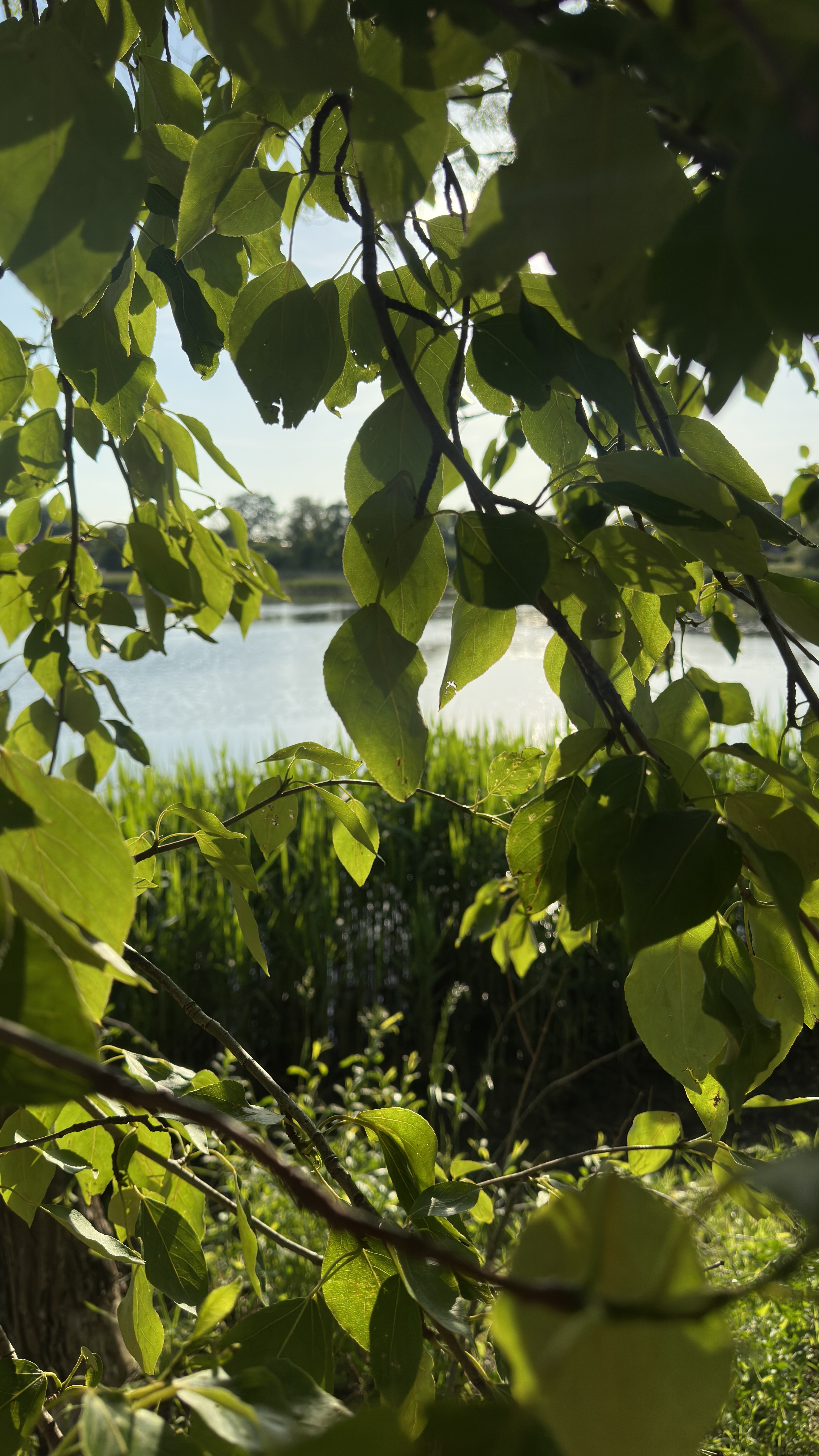 Foto 6 de la ruta de Bikemap "улица Рафиева, Минск до улица Рафиева, Минск" Foto 6 de la ruta de Bikemap "улица Рафиева, Минск до улица Рафиева, Минск"