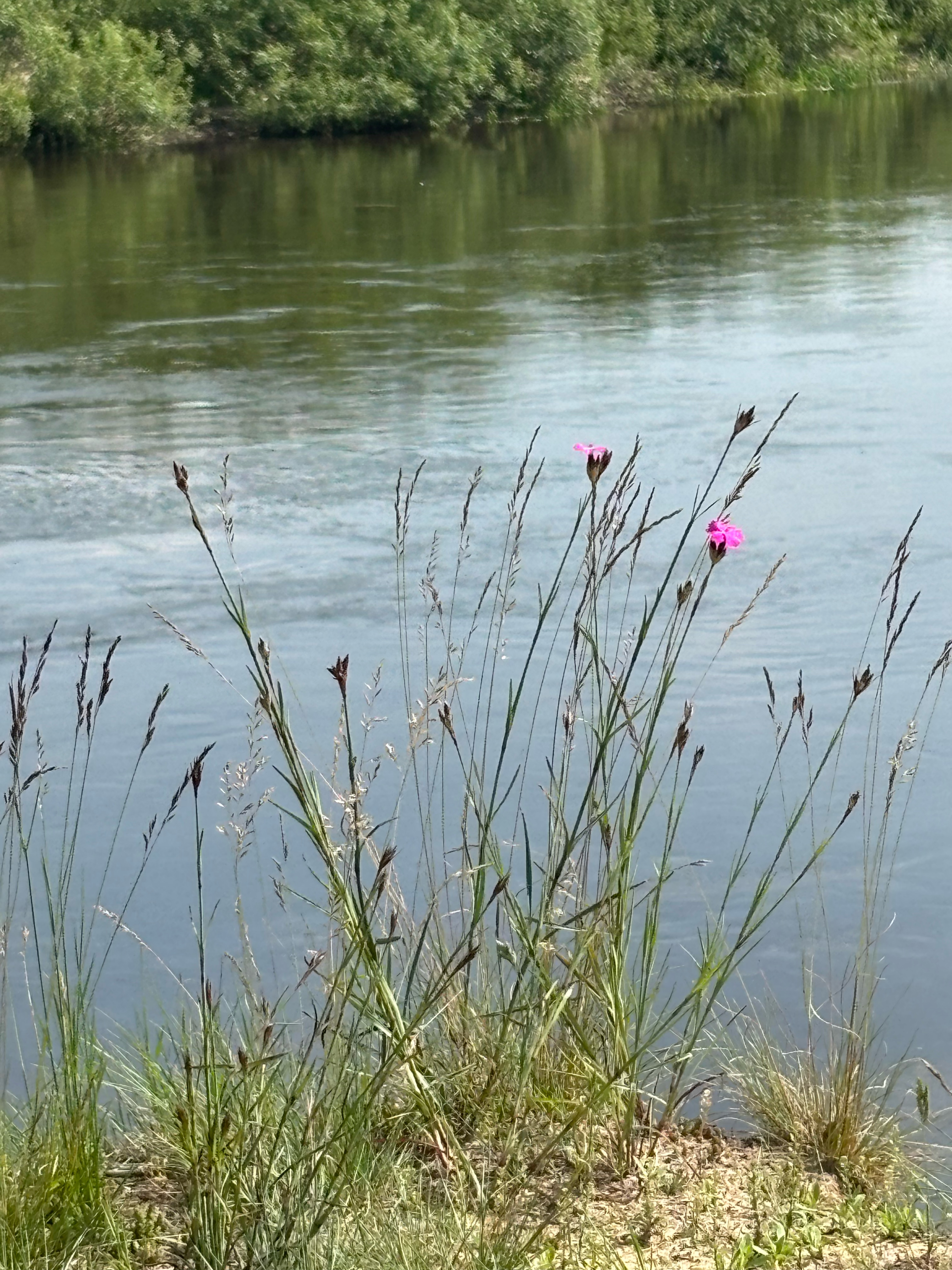 Photo 7 of the Bikemap route "улица Каменщикова, Гомель до Привокзальная улица, Гомель" Photo 7 of the Bikemap route "улица Каменщикова, Гомель до Привокзальная улица, Гомель"