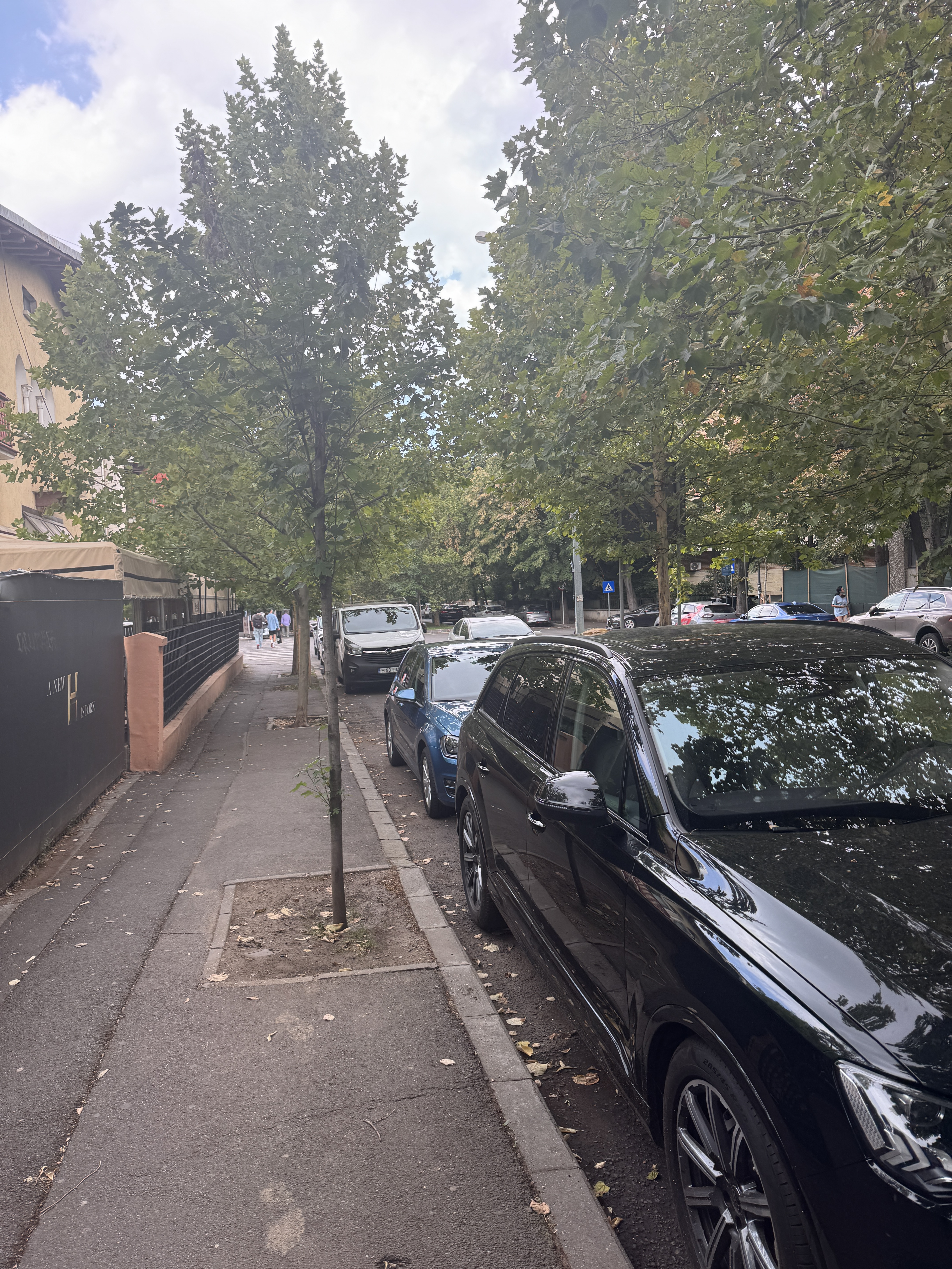 Photo 5 de l’itinéraire Bikemap « 44.511, 26.069 to 44.513, 26.072 » Photo 5 de l’itinéraire Bikemap « 44.511, 26.069 to 44.513, 26.072 »