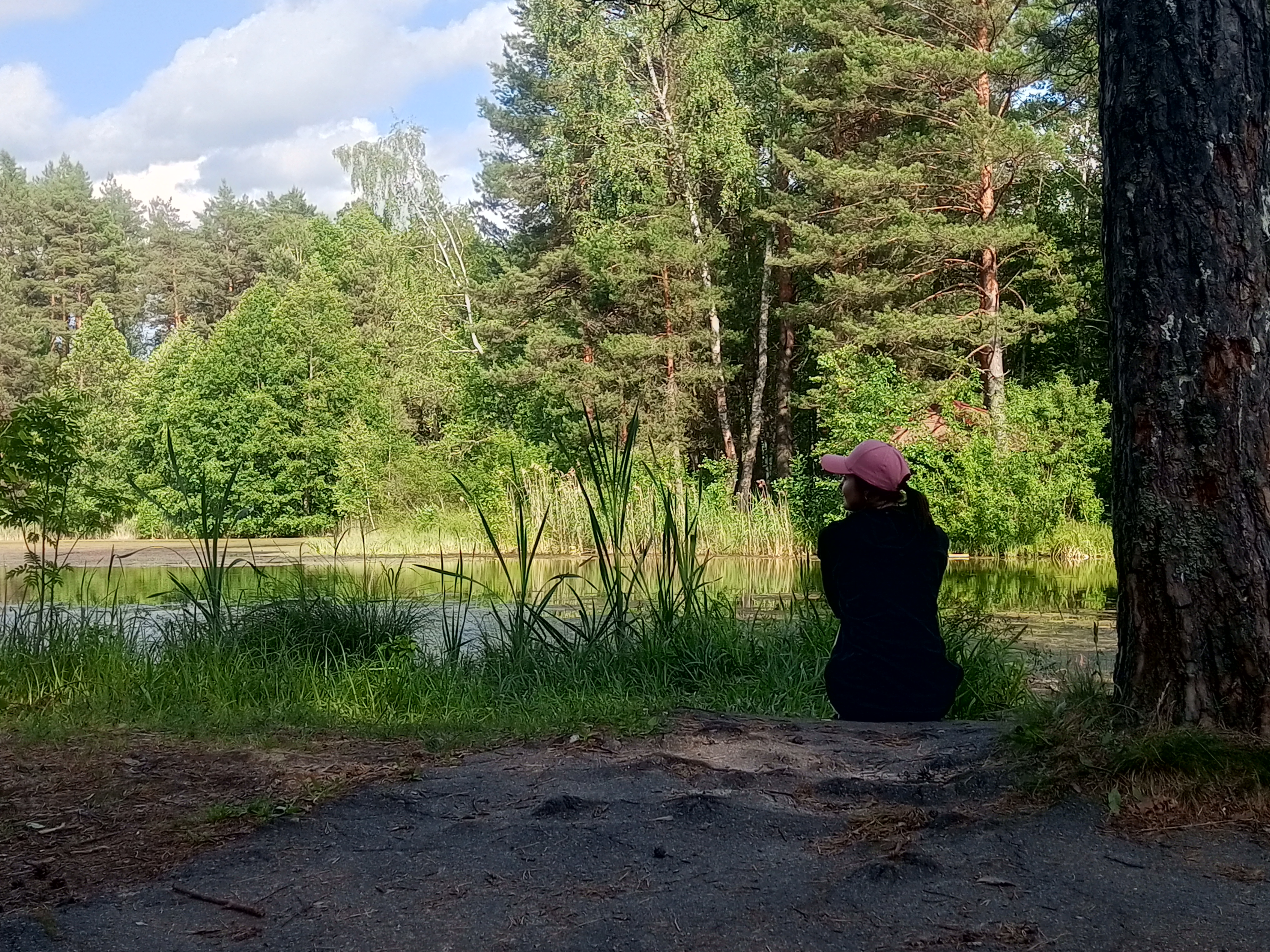 Орловское полесье, трек