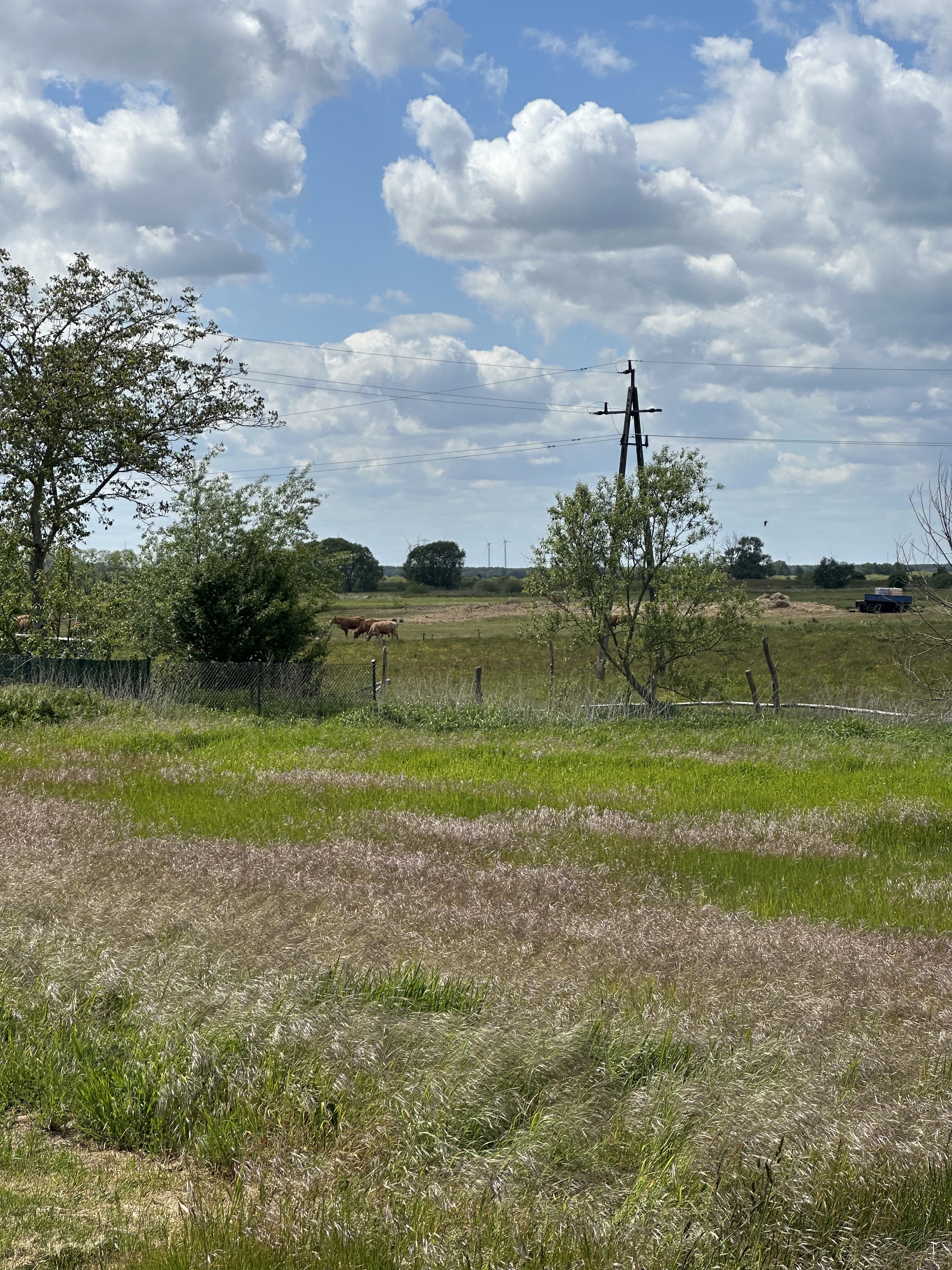 Photo 7 of the Bikemap route "Nowe Czarnowo, Пнєво do Zielona, Widuchowa"