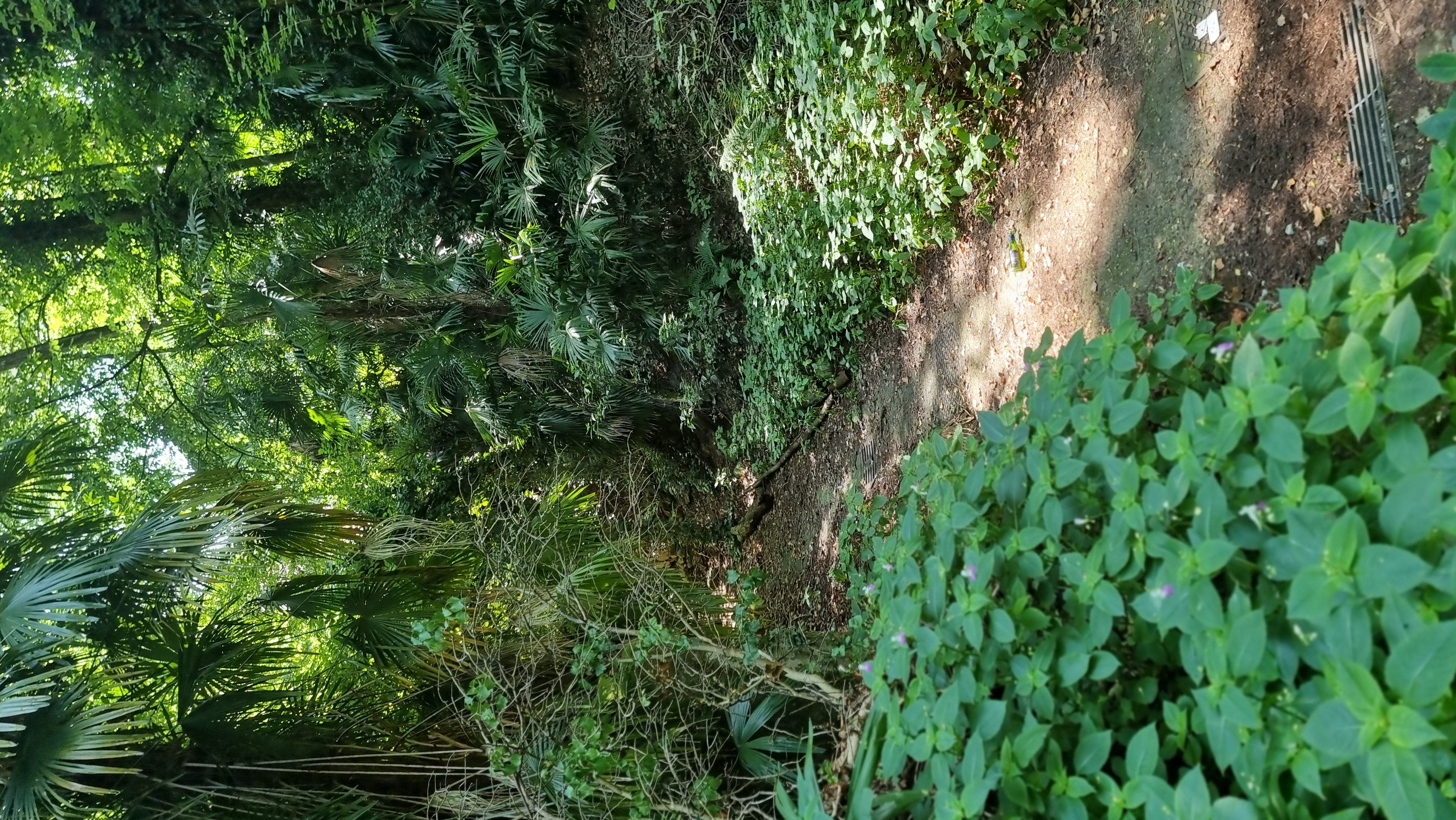 Photo 8 of the Bikemap route "Via Ticino Panni nach Via Roma"
