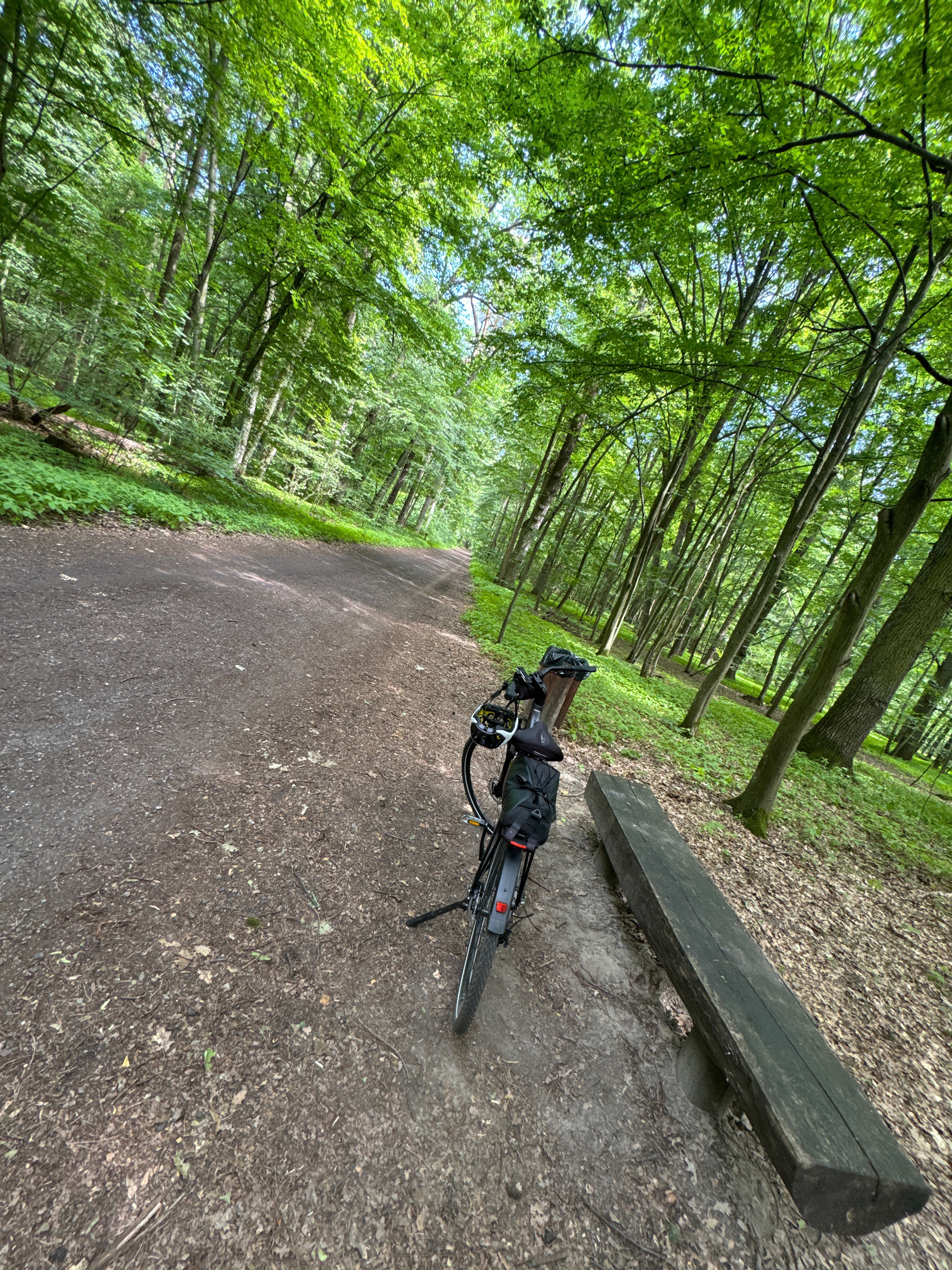 Nowogrodzka, Warszawa do Nowogrodzka, Warszawa