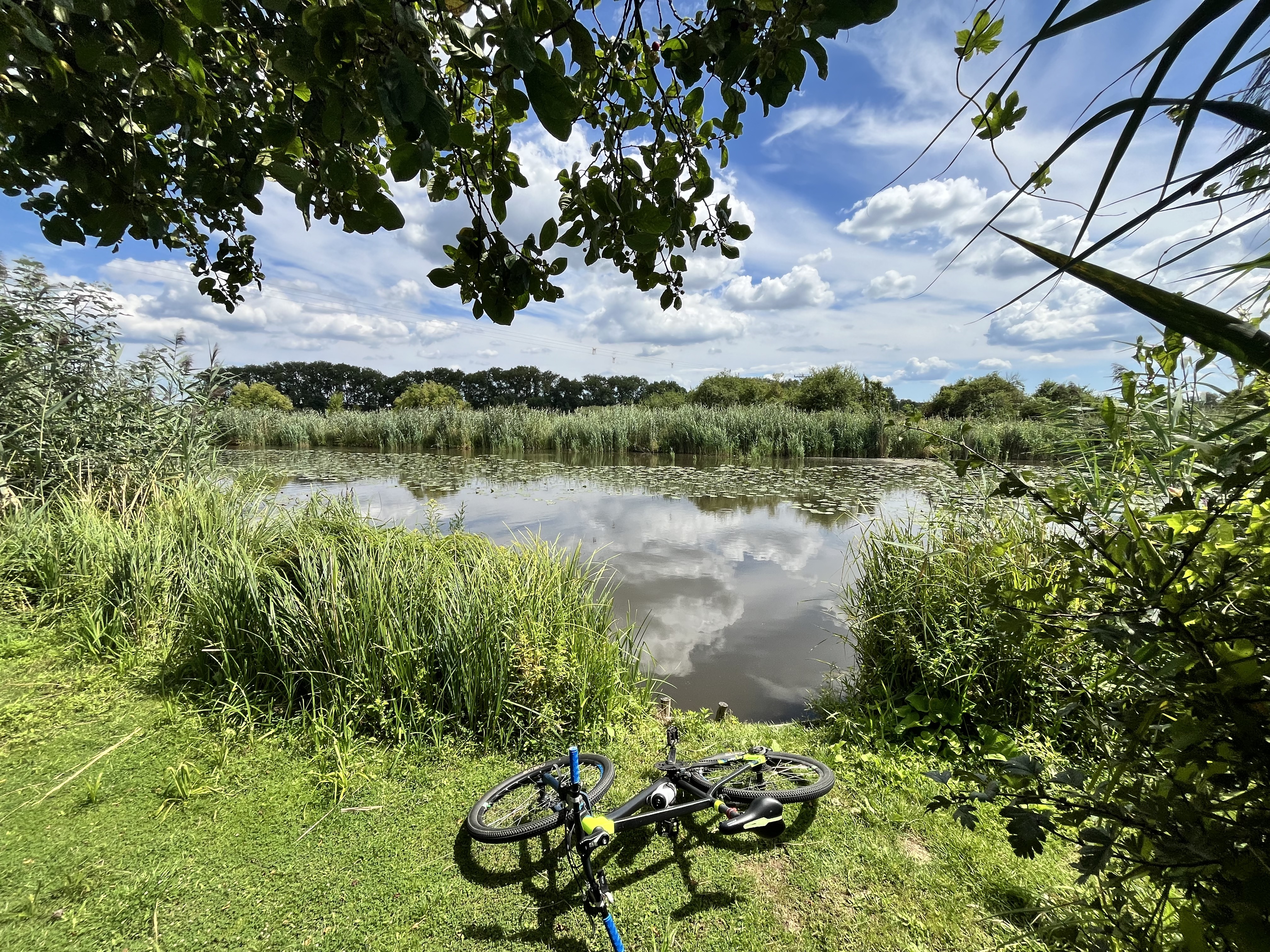 Gajary až Skuteckého, Gajary