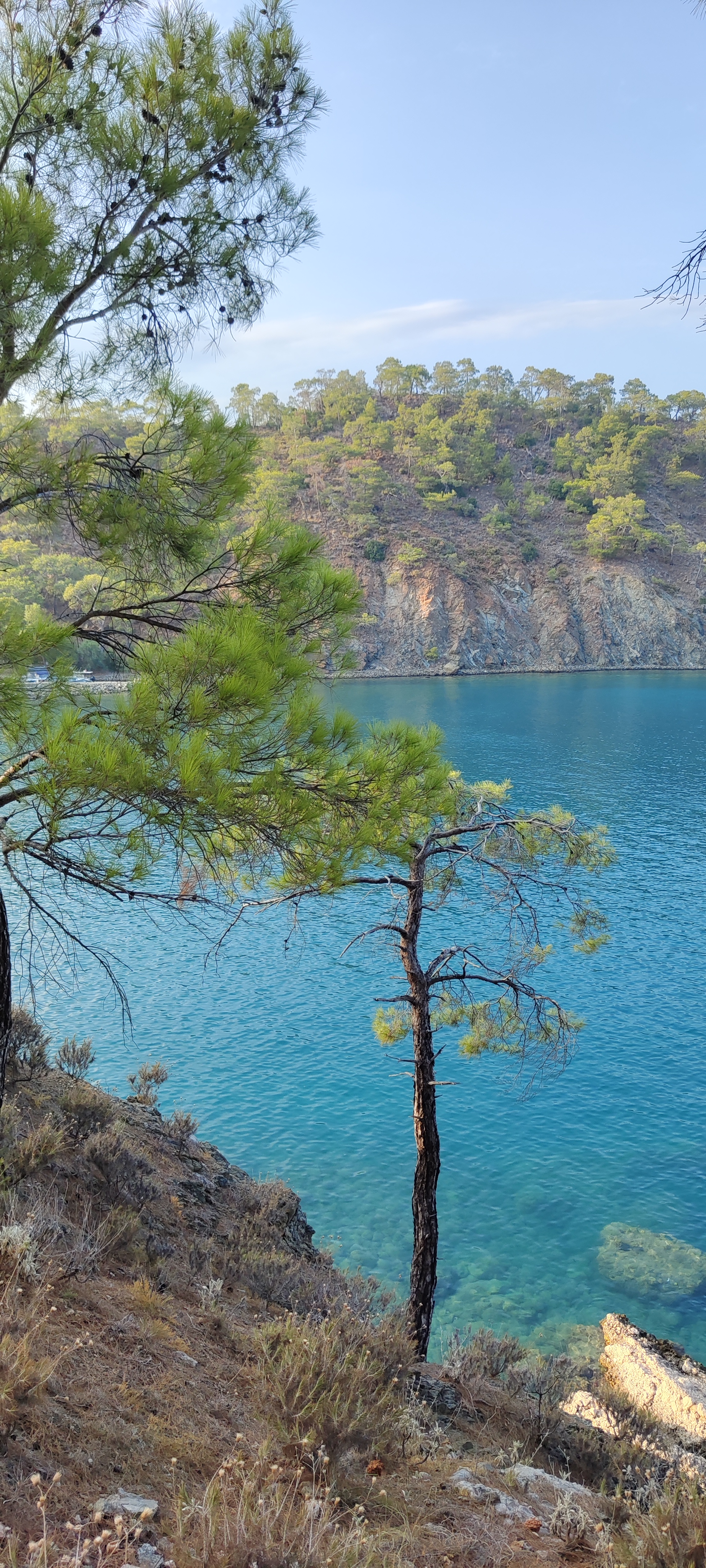 Foto 8 de la ruta de Bikemap "От Turizm Bulvarı No:10 до Turizm Bulvarı No:10"