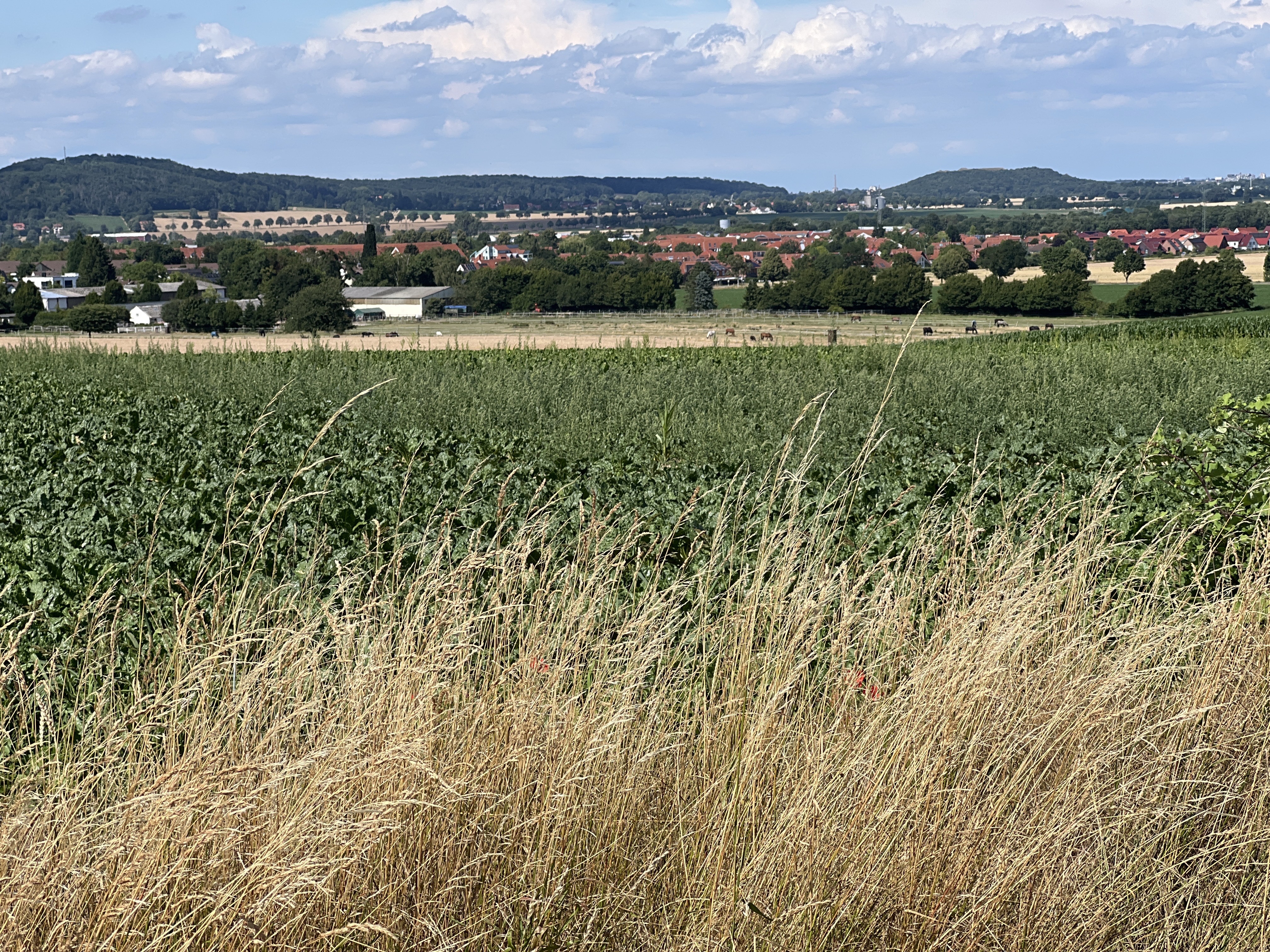 Runde von Gehrden über Velber, Stemmen, Barsinghausen und Wennigsen