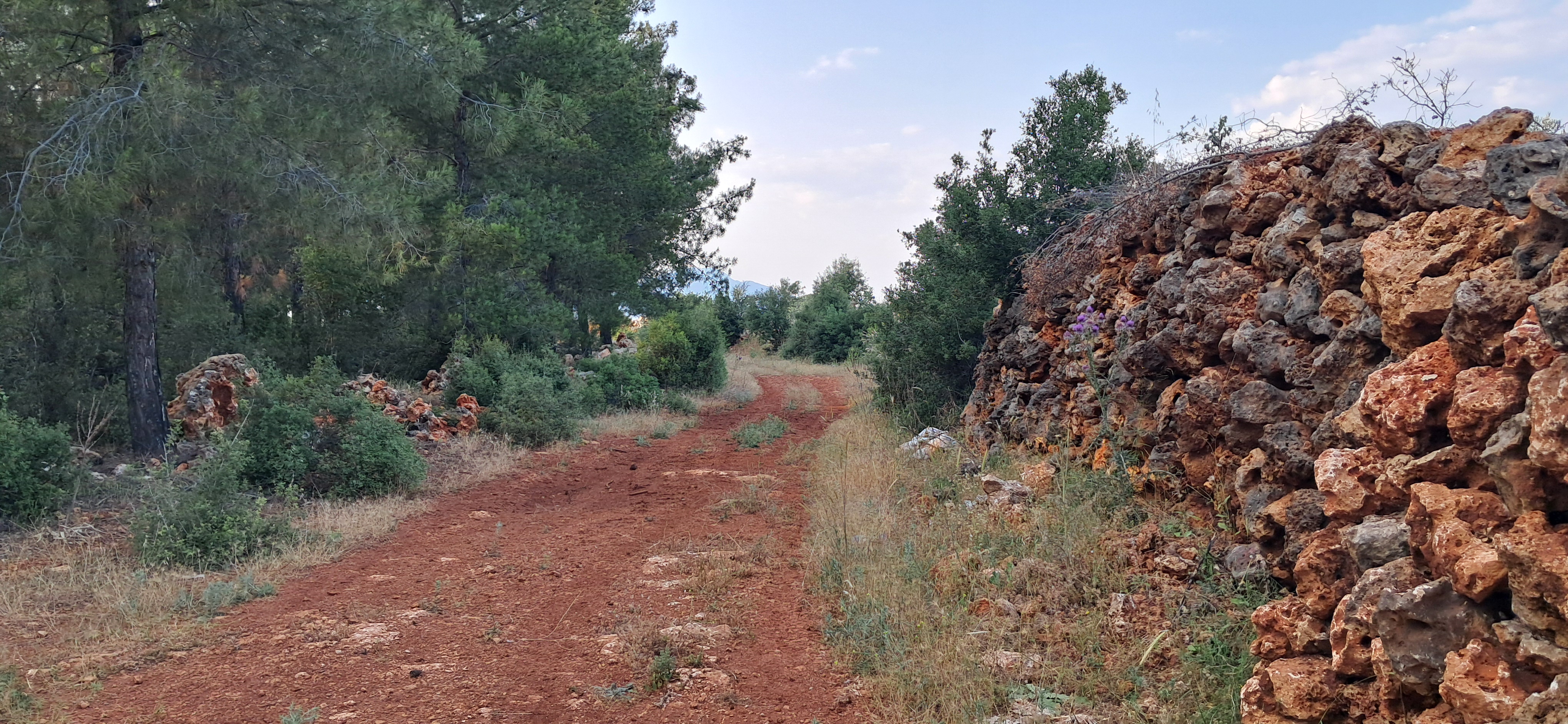 Photo 7 of the Bikemap route "Dereli"