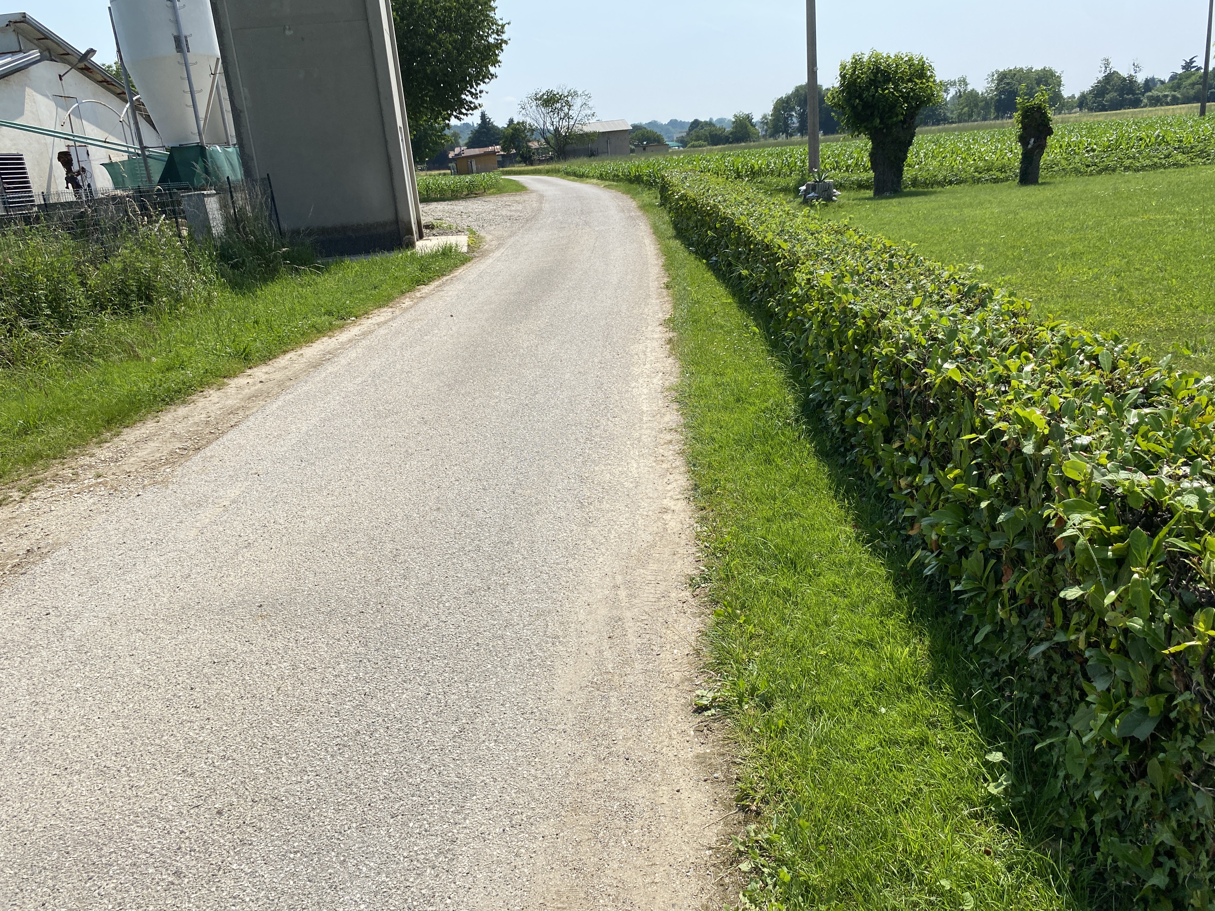 Tapar Tigo, Resia nach Via Vidisêt, Buja