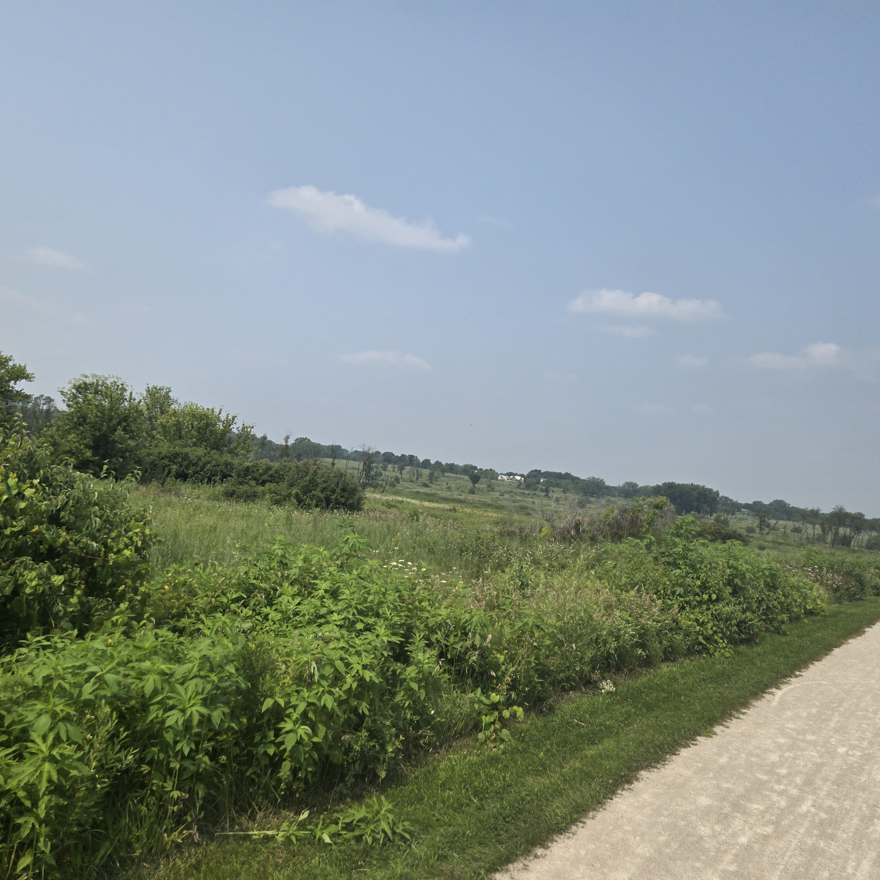 Timber Ridge Launch, Tour de Wayne