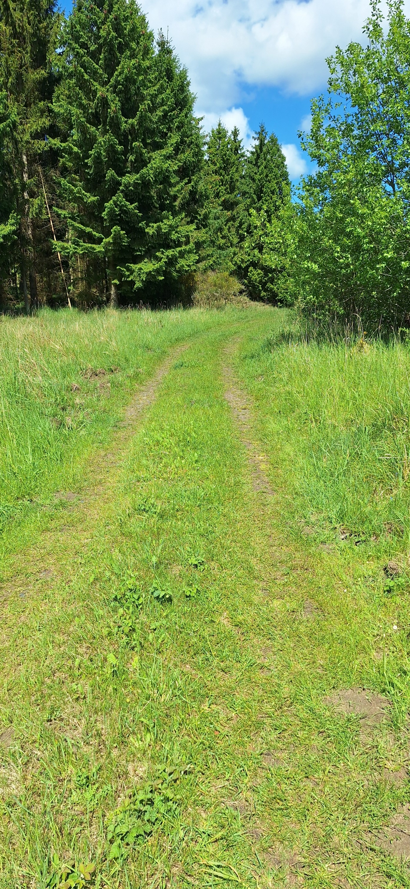 Fischerweg nach Fischerweg