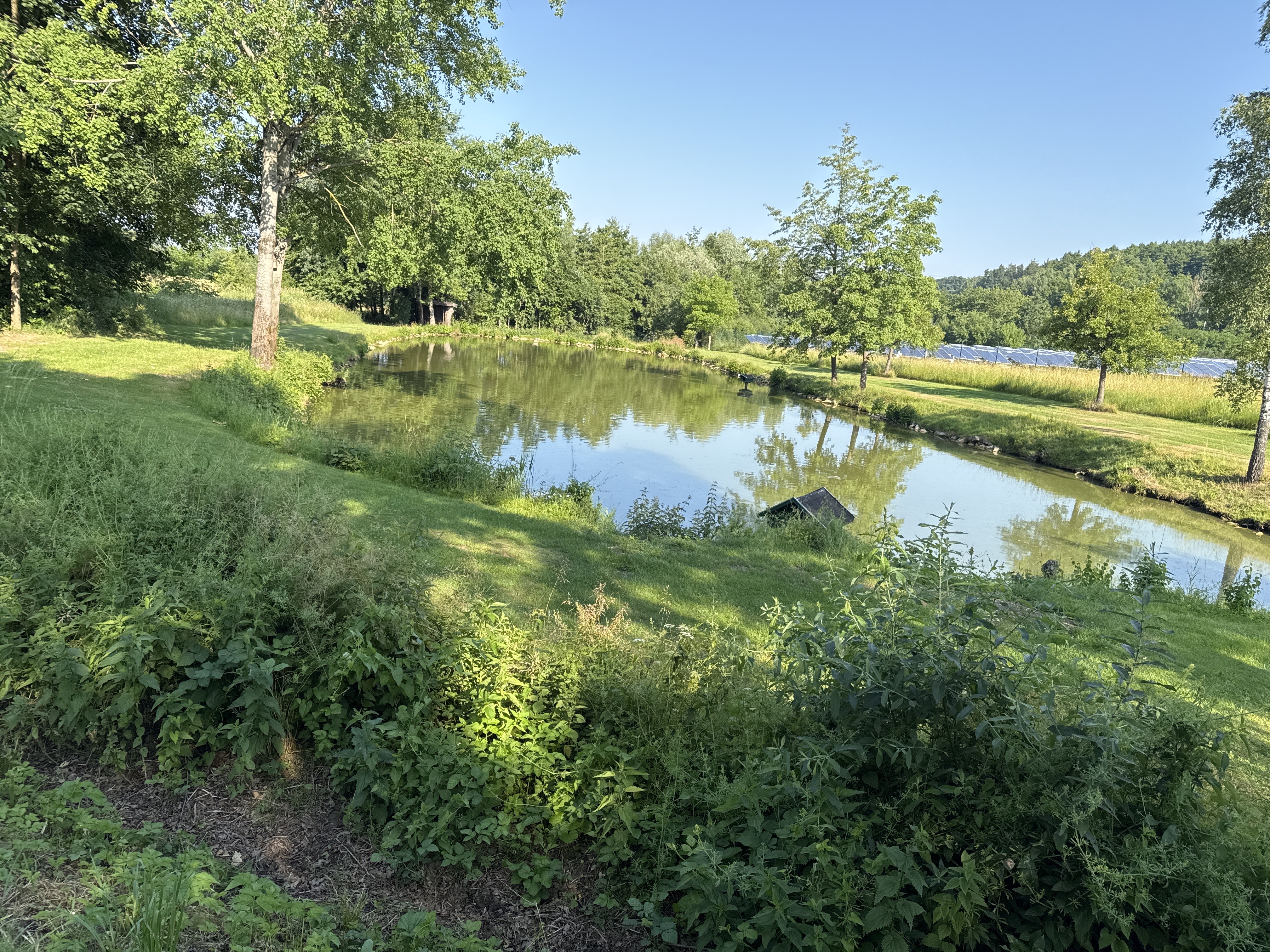 Foto 3 der Bikemap-Route "Mussinanstraße, Neumarkt in der Oberpfalz nach Mussinanstraße, Neumarkt in der Oberpfalz" Foto 3 der Bikemap-Route "Mussinanstraße, Neumarkt in der Oberpfalz nach Mussinanstraße, Neumarkt in der Oberpfalz"