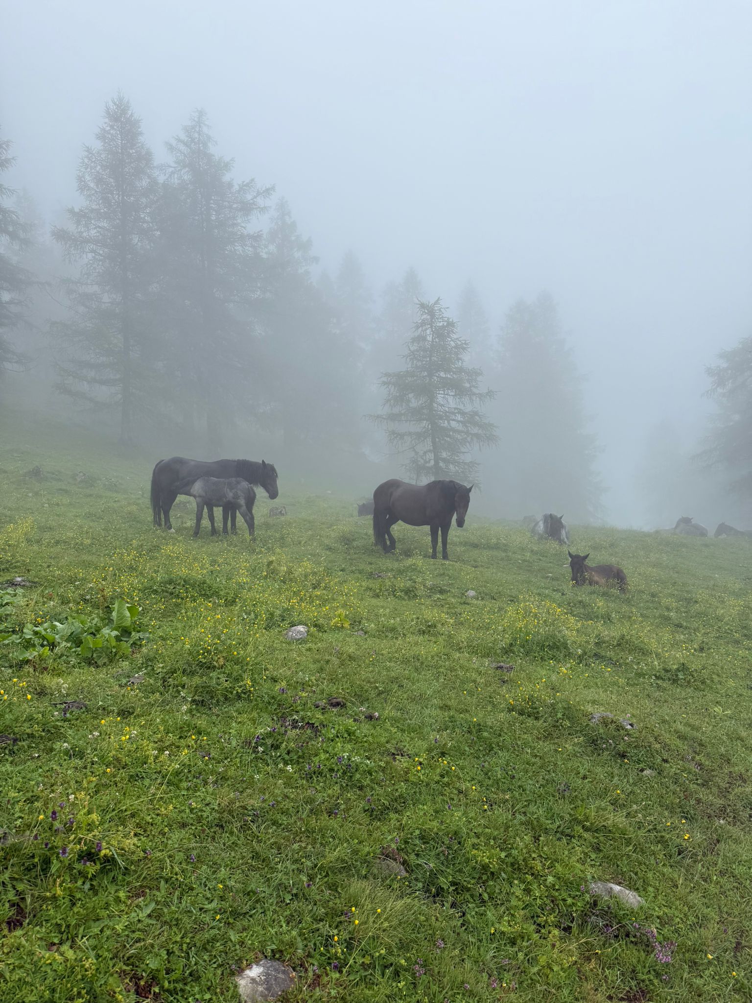 Via Stefano Spizzo nach Via Glizoio di Mels
