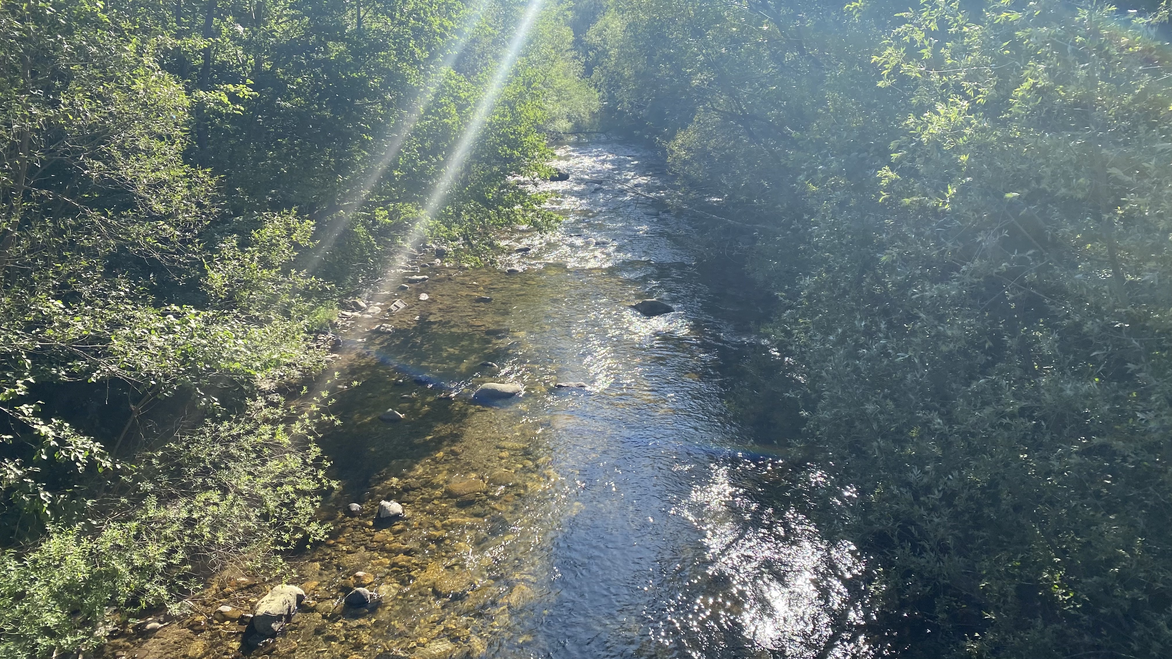 cheile butii - valea Cernei
