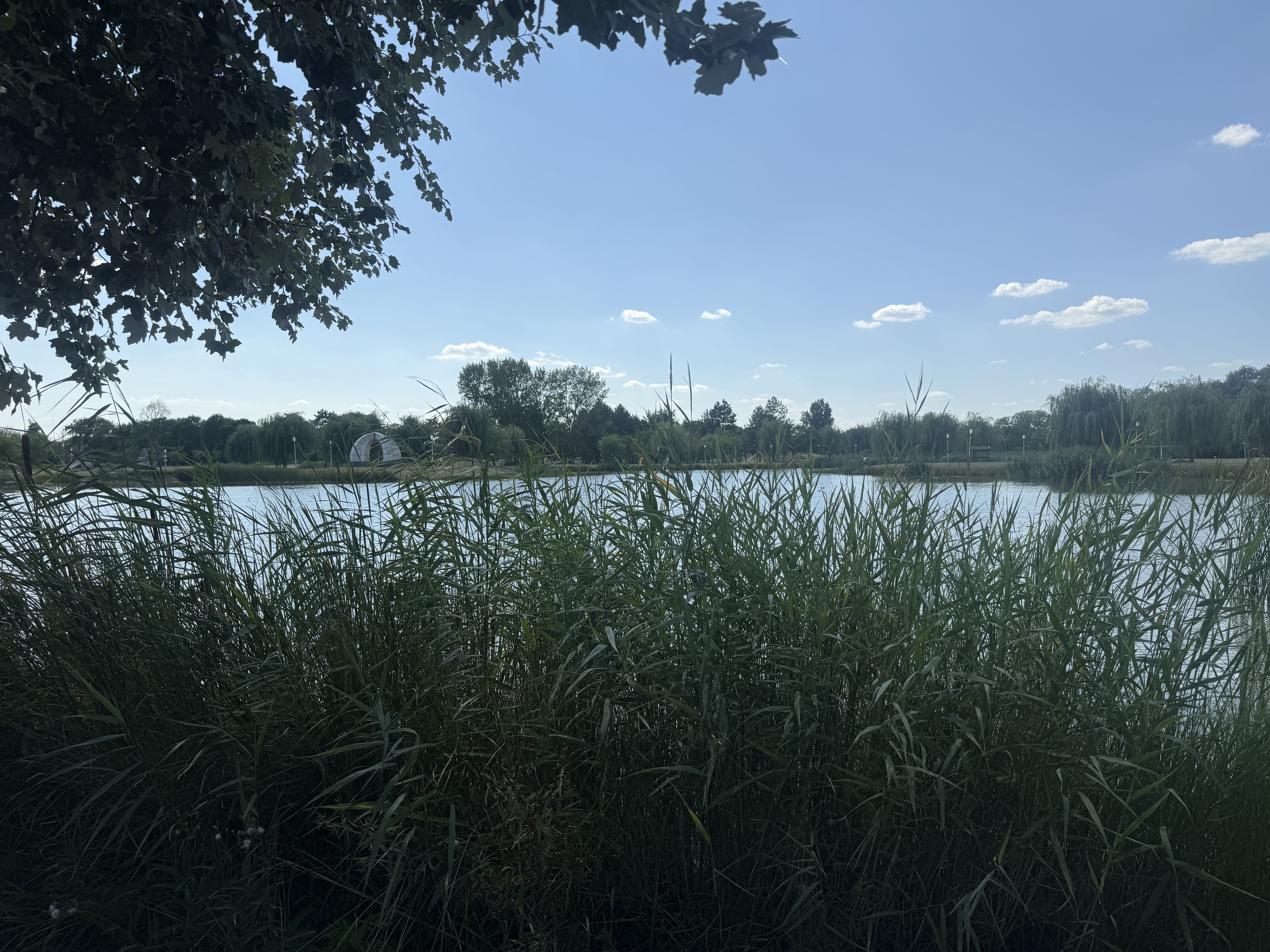 Mizsei út, Cegléd - Mizsei út, Cegléd