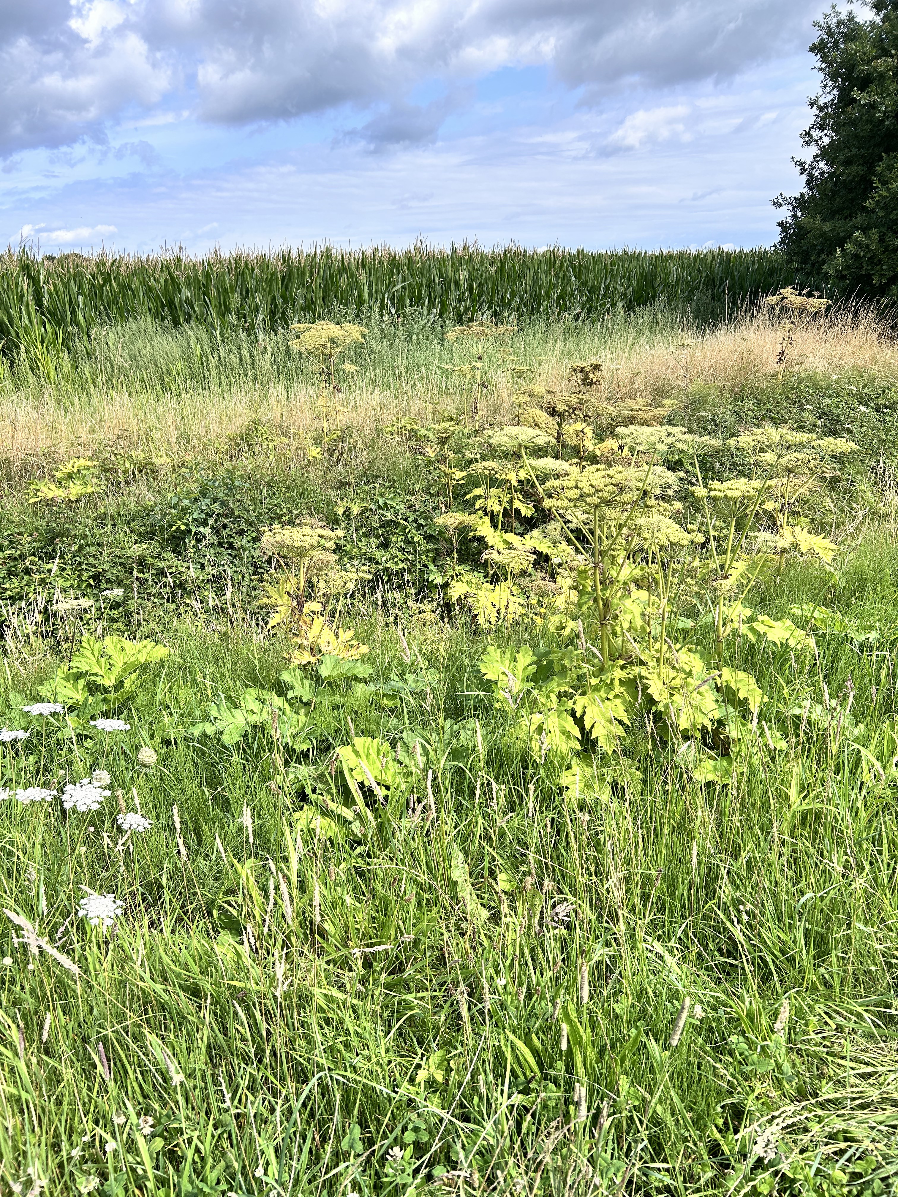 District 01, Doesburg nach District 01, Doesburg