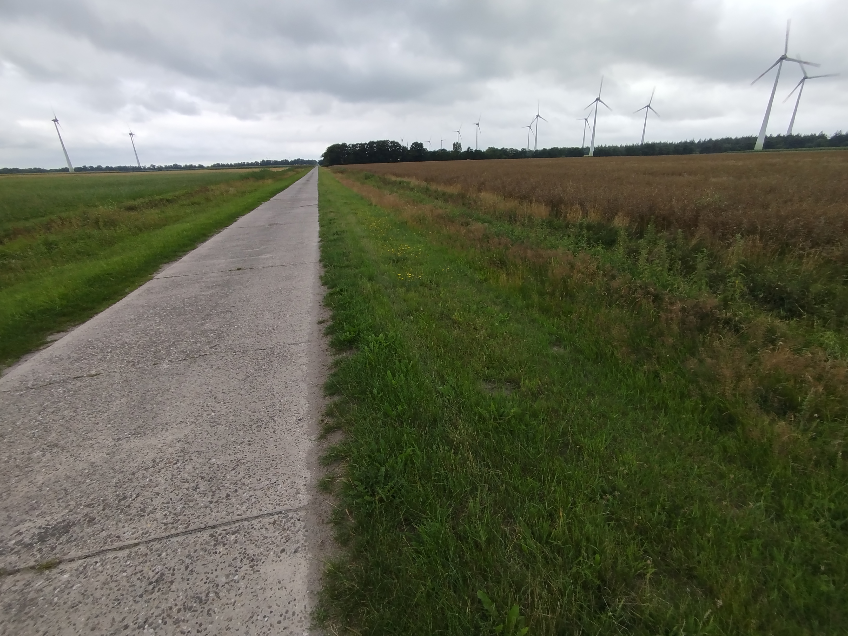 Photo 7 of the Bikemap route "Уверенная езда" Photo 7 of the Bikemap route "Уверенная езда"