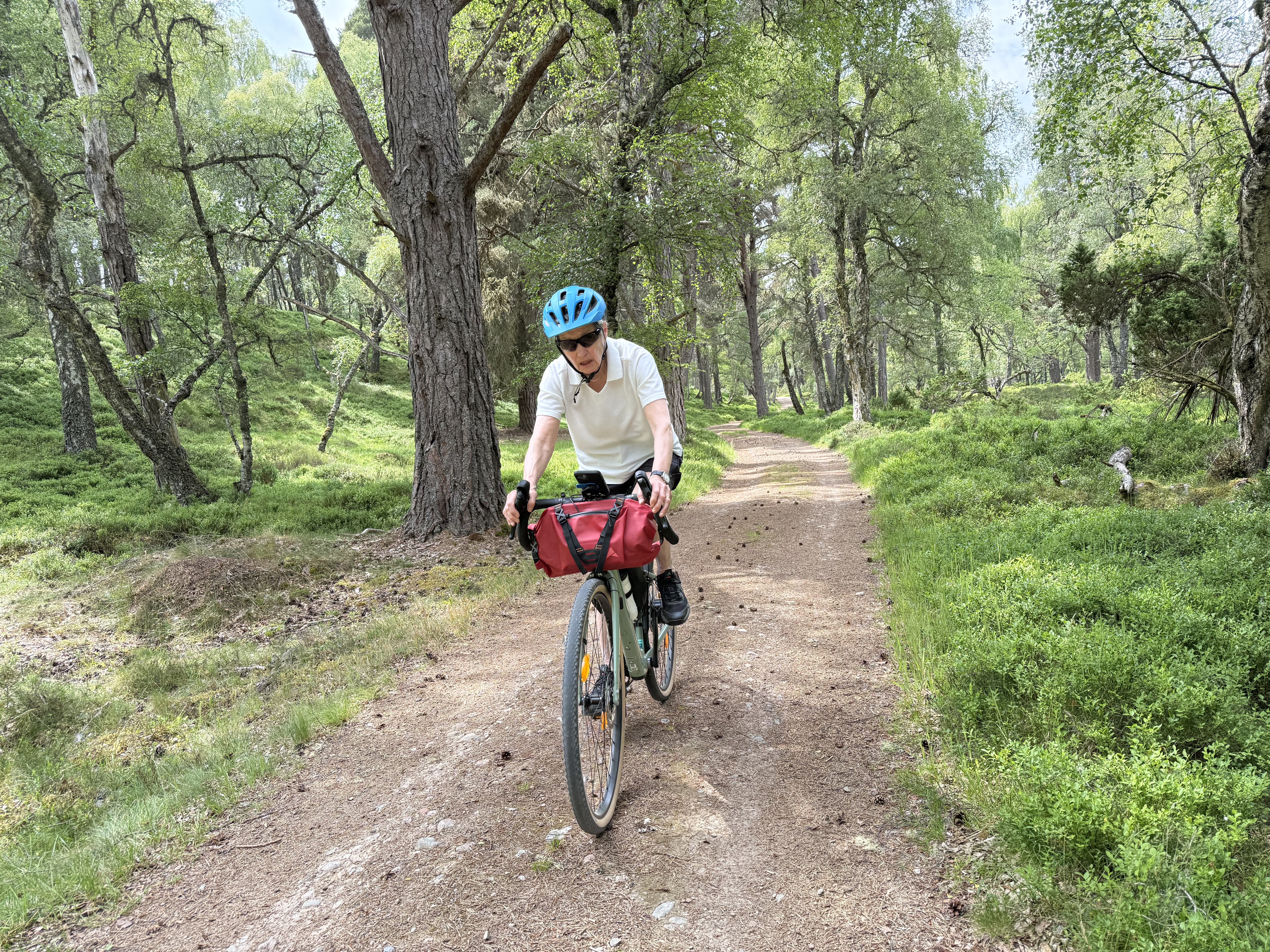 Myrtlefield, Aviemore to Rymore, Nethy Bridge