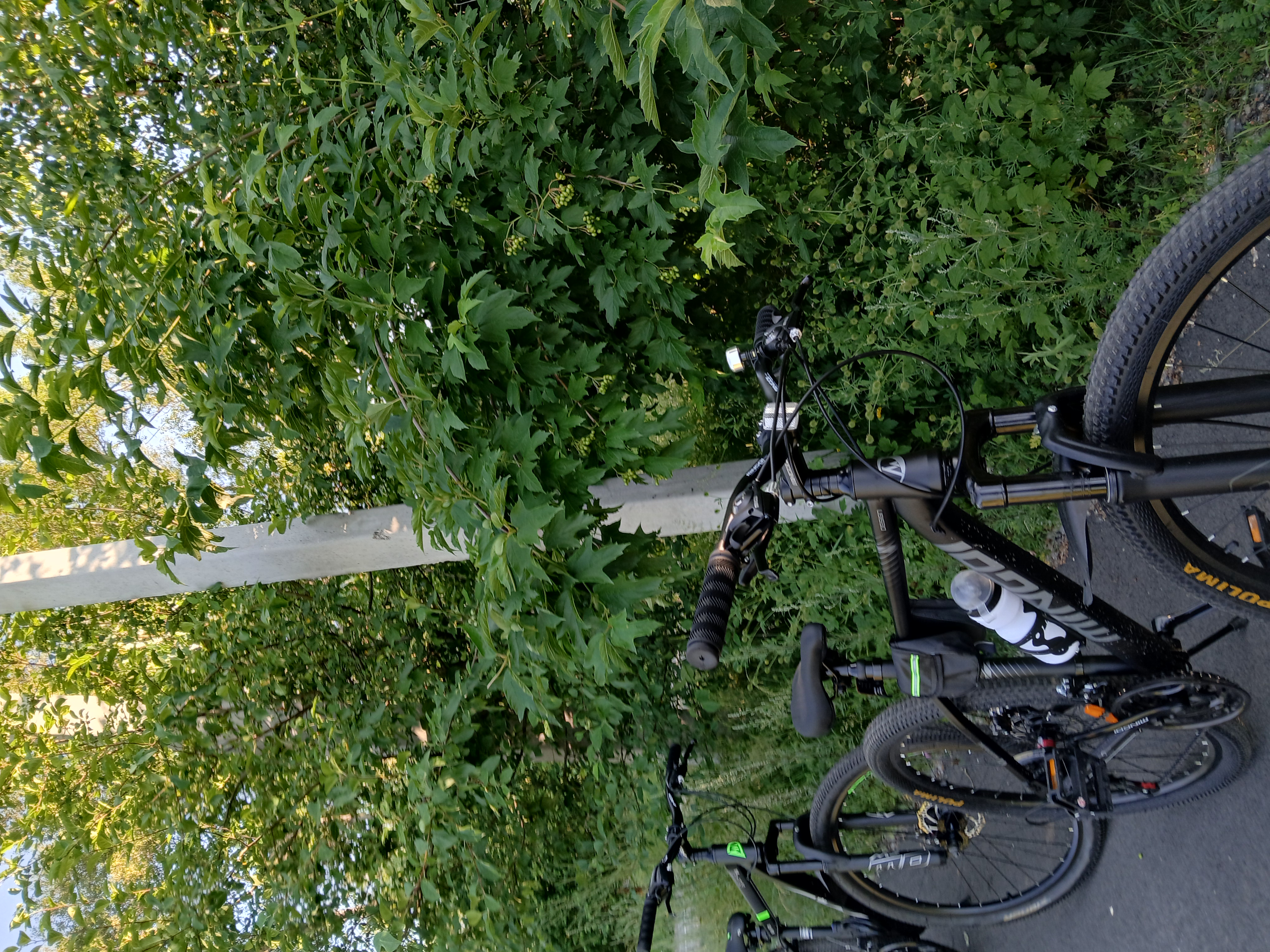 Photo 8 of the Bikemap route "с полиной лп"