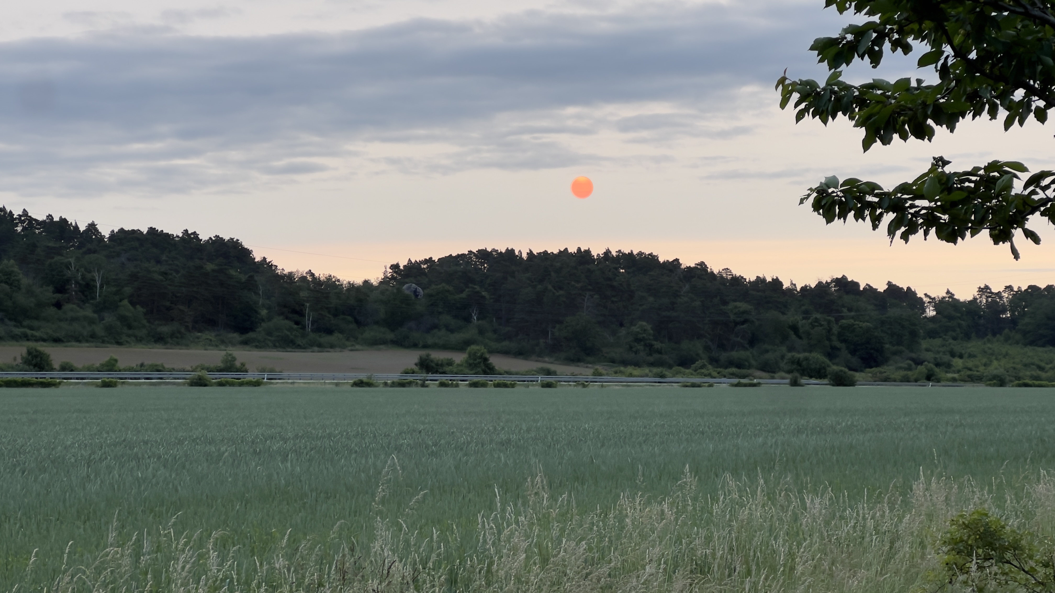 Geschwister-Scholl-Straße, Blankenburg (Harz) nach Geschwister-Scholl-Straße, Blankenburg (Harz)
