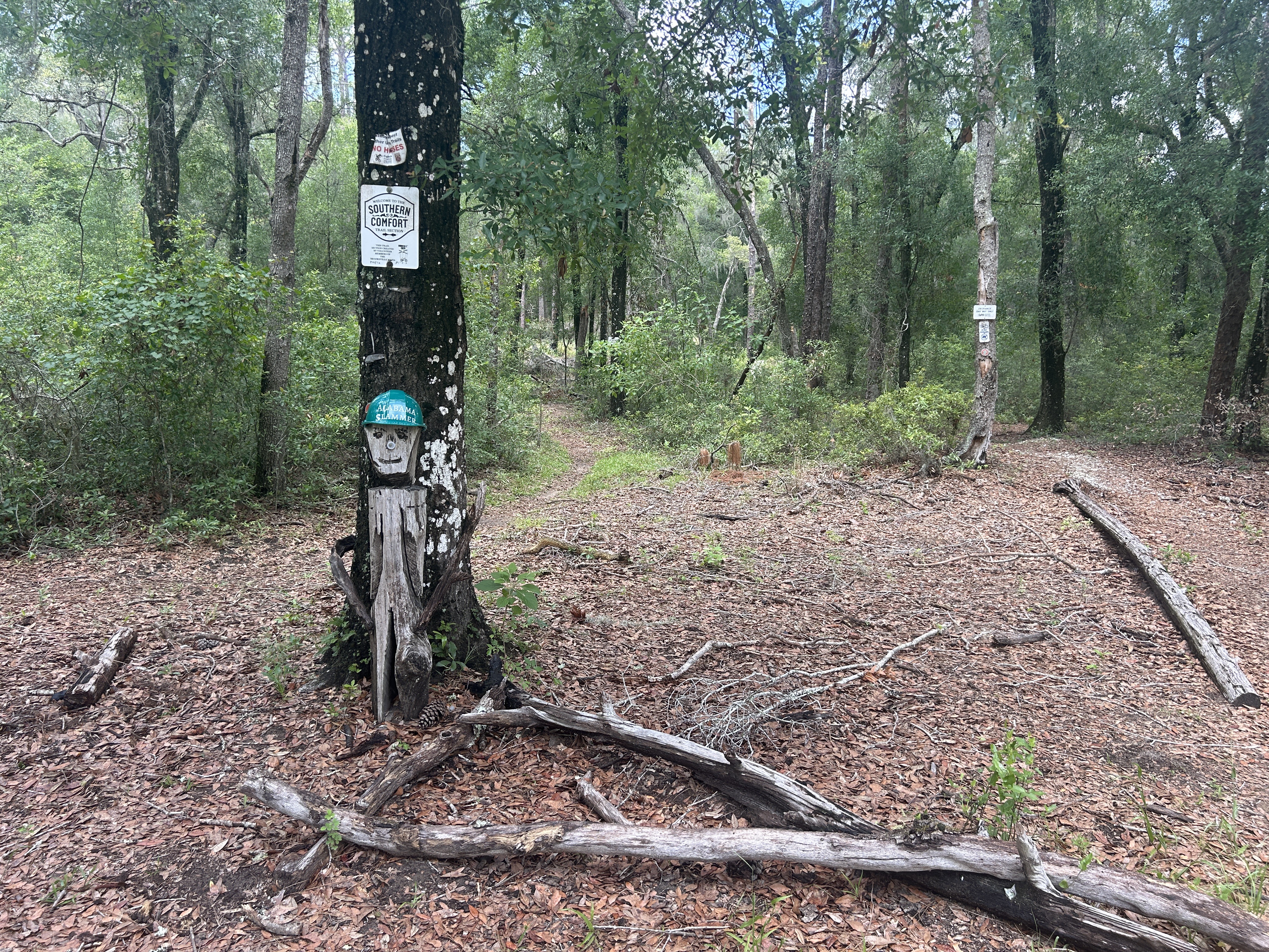Withlacoochee State Trail, Brooksville to Croom Rital Rd, Brooksville