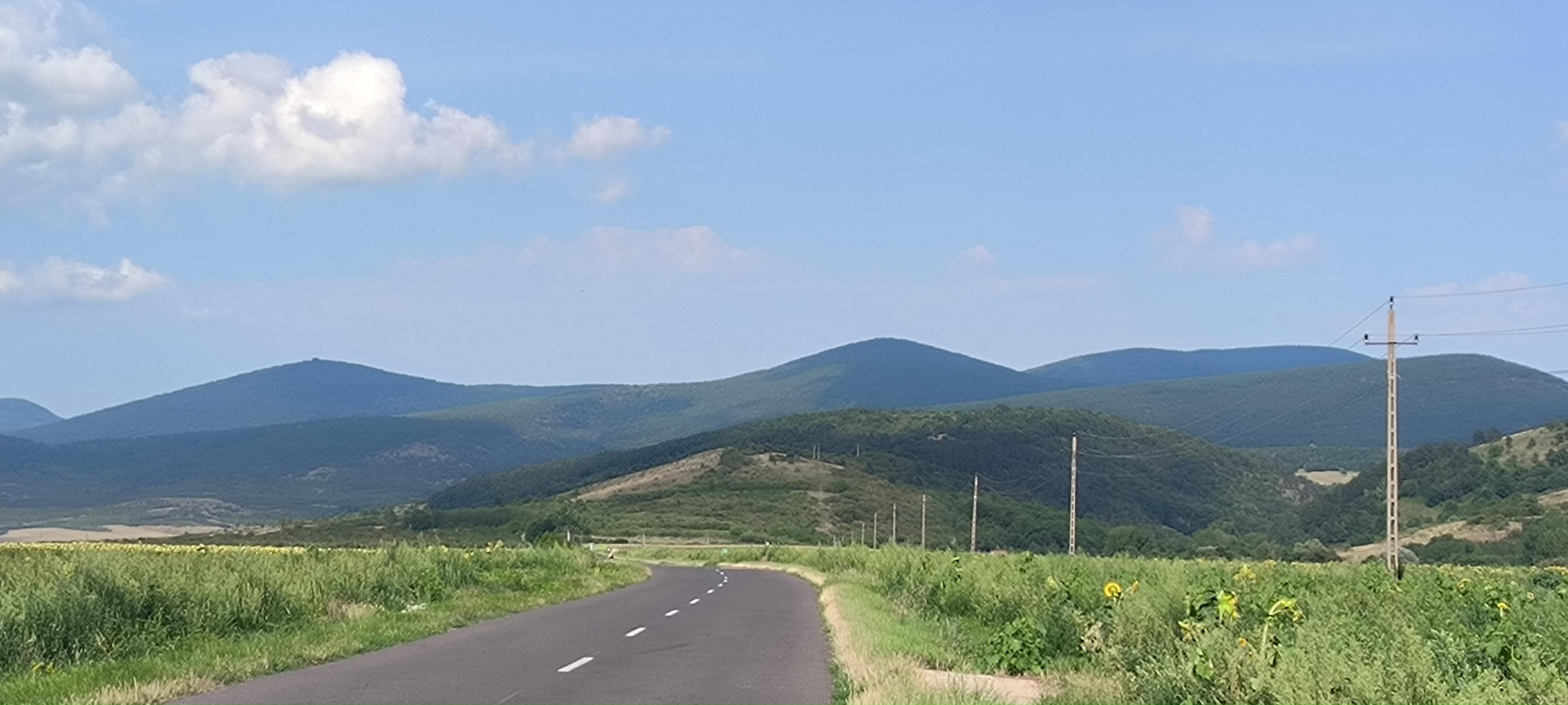 Nyárfa utca - Nyárfa utca