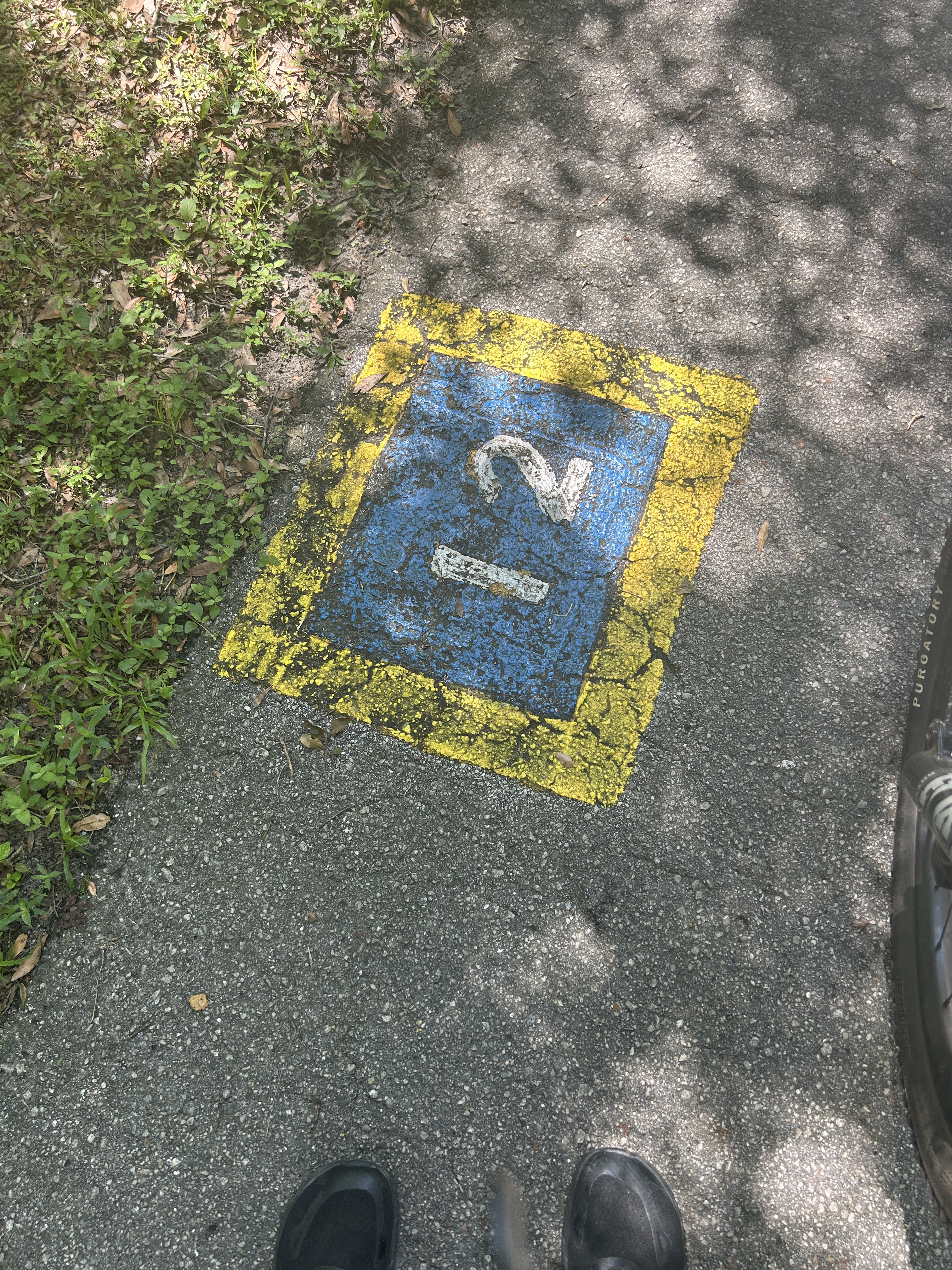 Withlacoochee State Trail, Nobleton to Croom Rital Rd, Brooksville